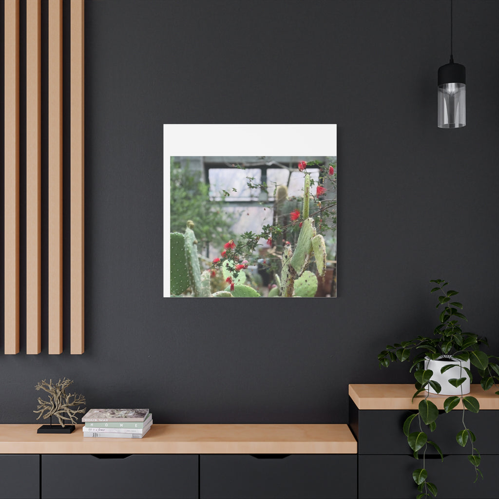 Cactus Wall Art Print, Nature Home Decor, Bohemian Style Artwork, Botanical Gift, Succulent Canvas