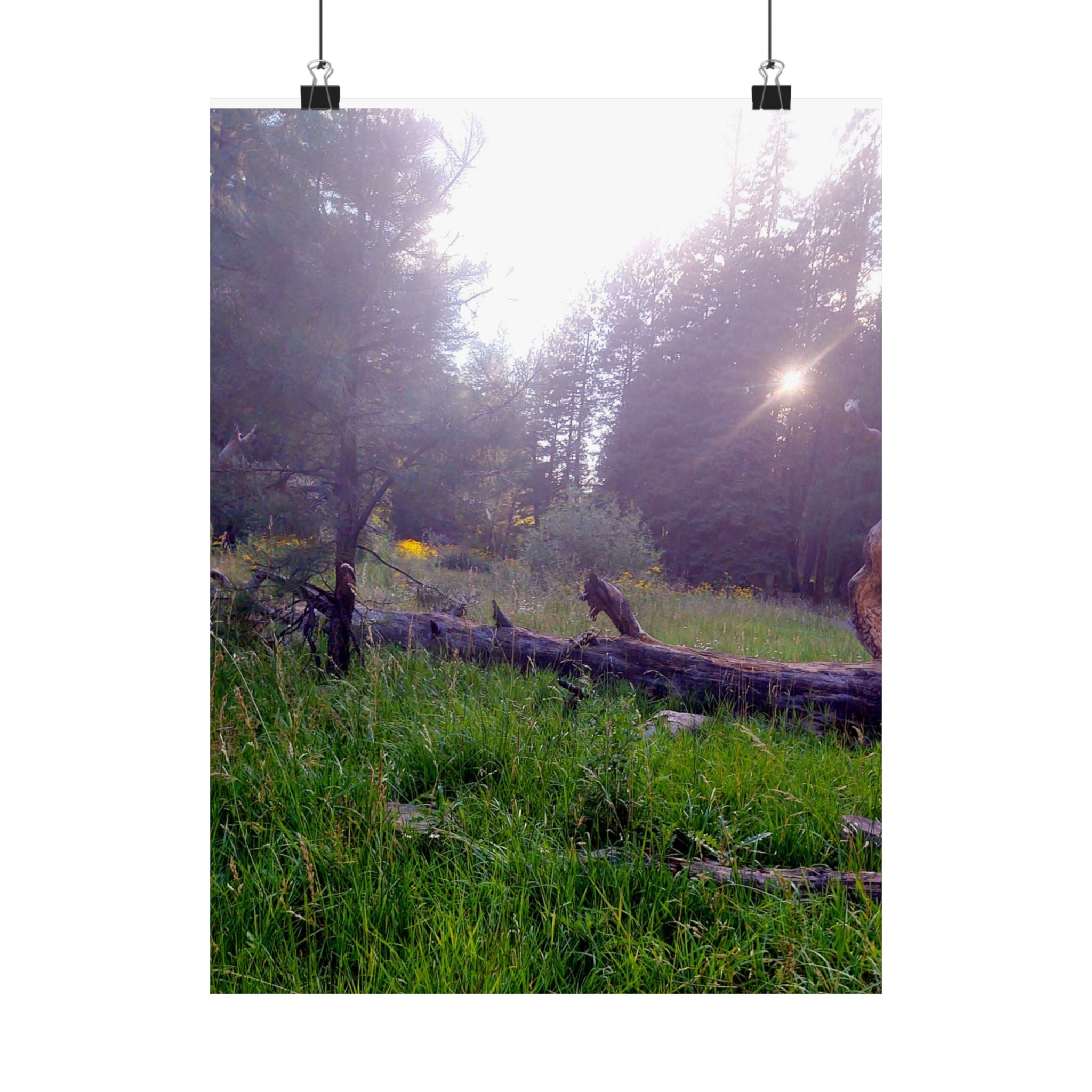 Nature-Inspired Matte Vertical Posters for Home Décor, Unique Wall Art Prints, Botanical Print Collection, Gifts for Nature Lovers, [...]