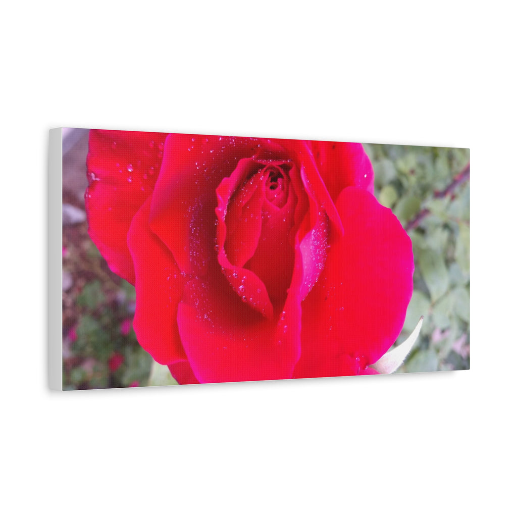 Vibrant Floral Canvas Art, Elegant Wall Decor, Perfect for Home, Gifts, Mother's Day, and Weddings