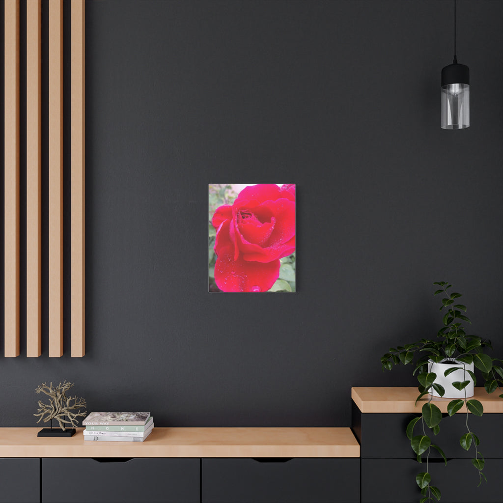 Stunning Floral Canvas Print, Home Decor, Wall Art, Gift for Flower Lovers, Red Rose Art, Mother's Day Gift