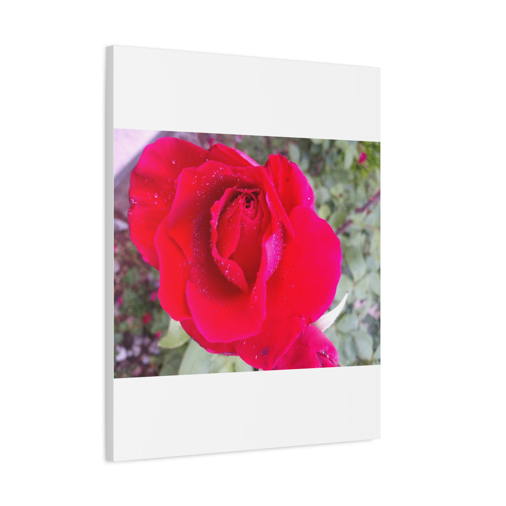 Vibrant Floral Canvas Art, Elegant Wall Decor, Perfect for Home, Gifts, Mother's Day, and Weddings