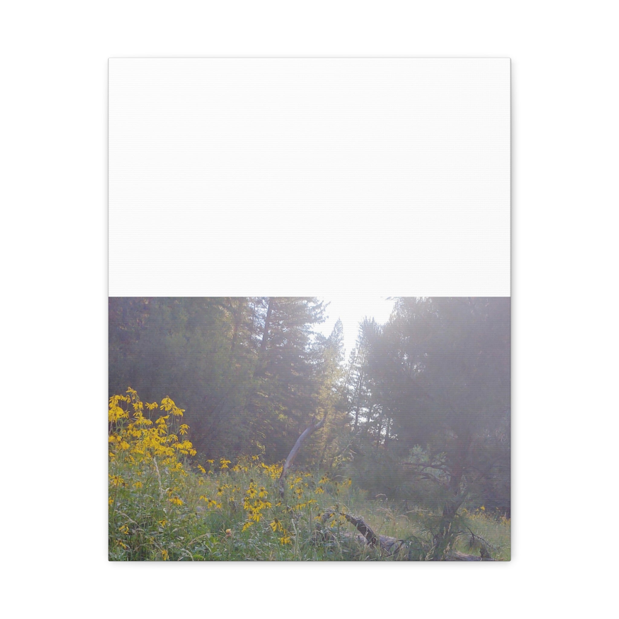 Matte Canvas, Stretched, 1.25"