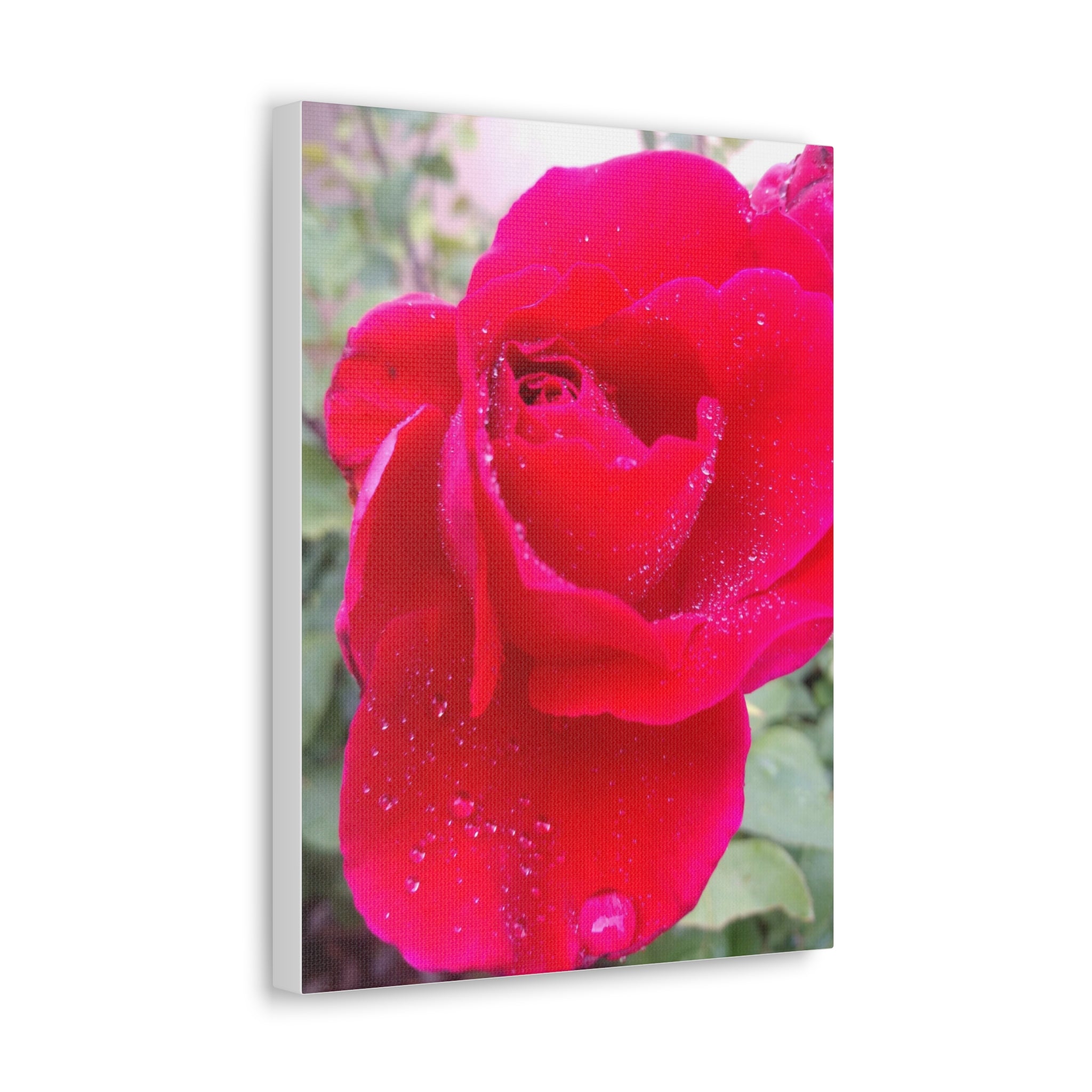 Stunning Floral Canvas Print, Home Decor, Wall Art, Gift for Flower Lovers, Red Rose Art, Mother's Day Gift
