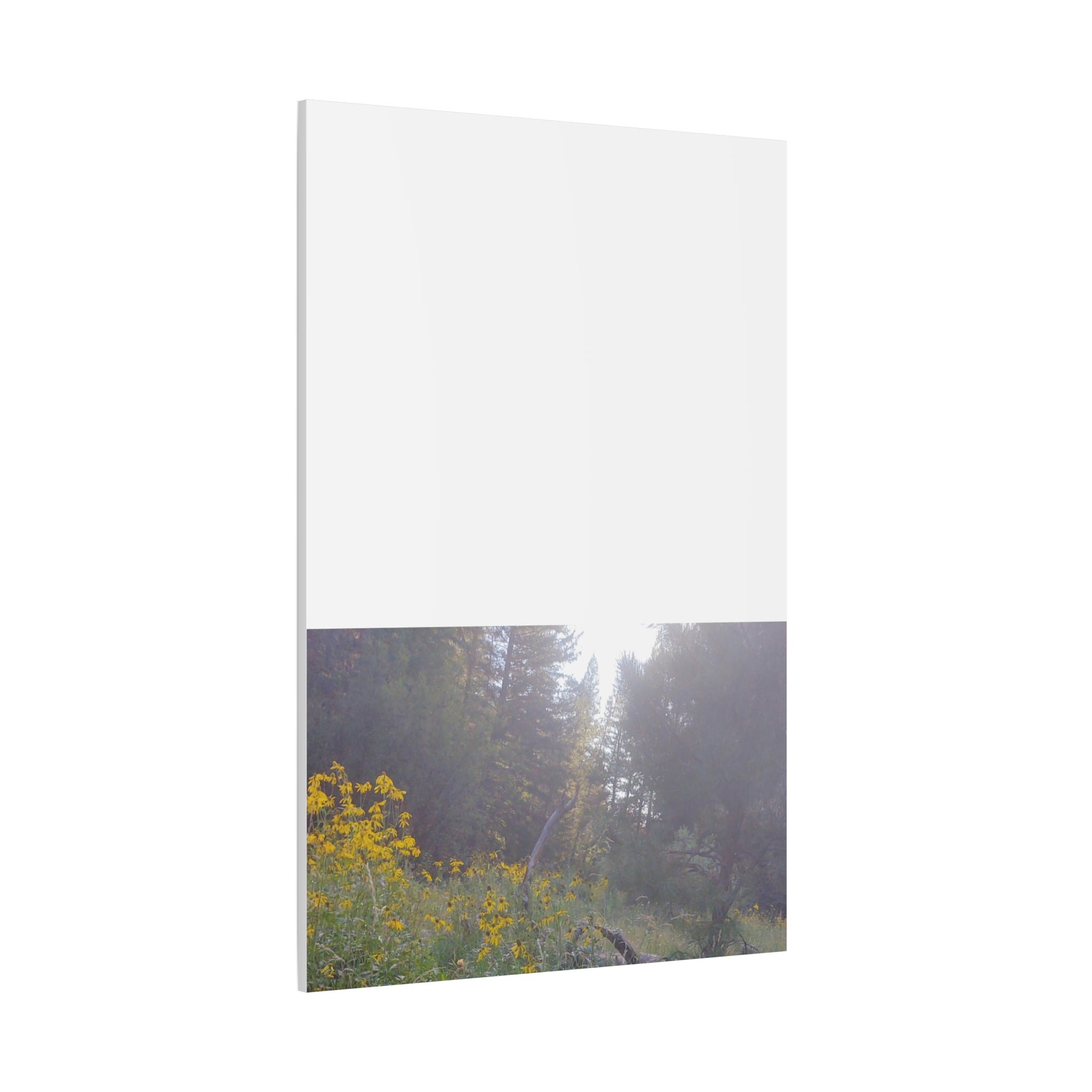 Matte Canvas, Stretched, 1.25"