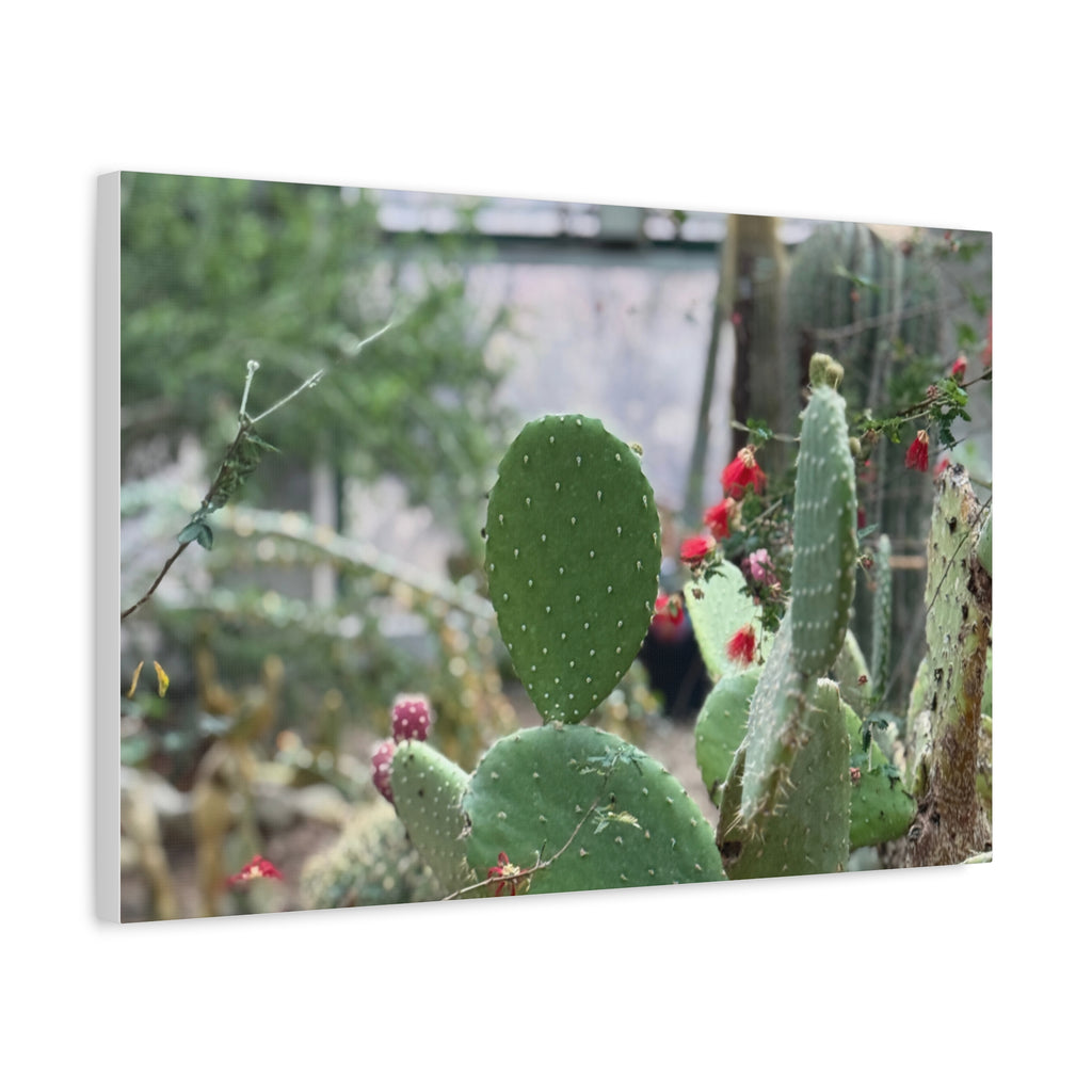Cactus Matte Canvas Wall Art, Nature Decor, Southwestern Room Design, Green Plant Prints, Home and Office Wall Decor