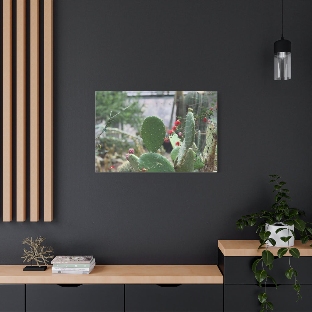 Cactus Matte Canvas Wall Art, Nature Decor, Southwestern Room Design, Green Plant Prints, Home and Office Wall Decor