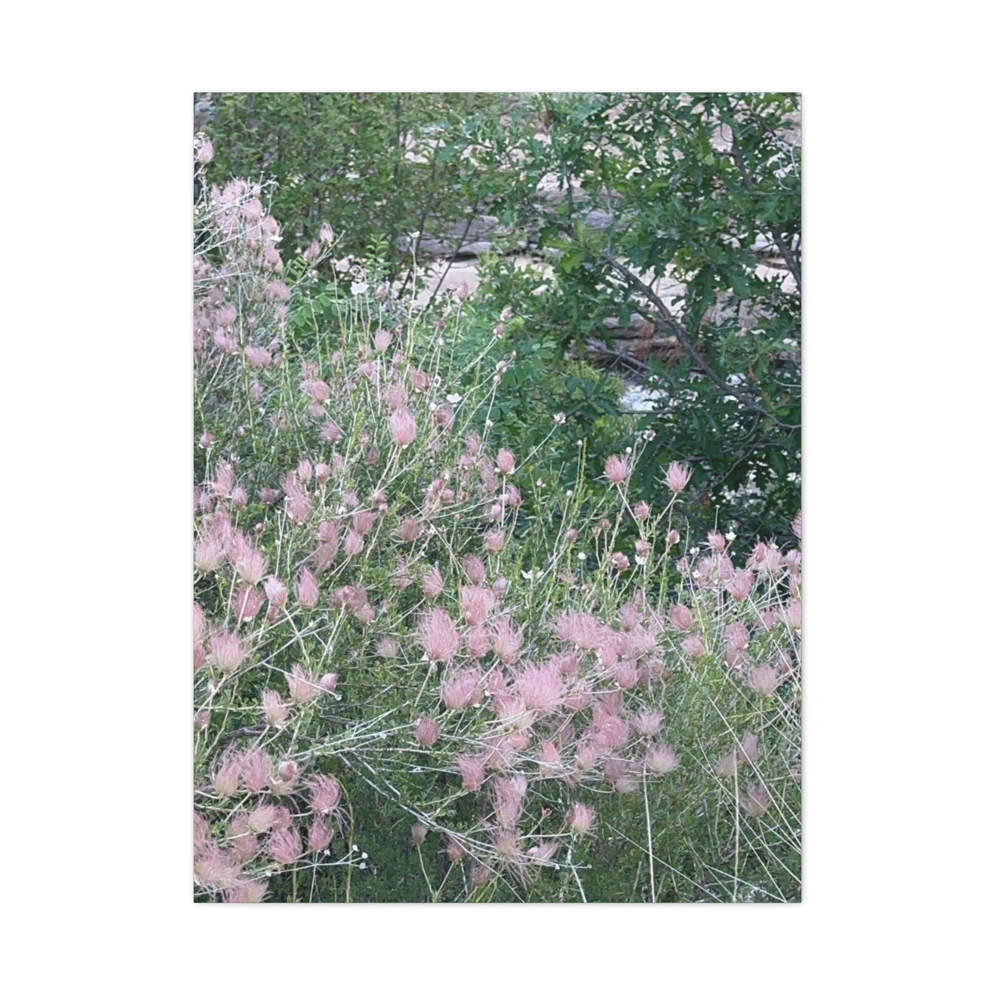 Floral Wall Art Canvas, Home Decor, Nature Lover Gift, Botanical Print, Spring Decor, Mother’s Day