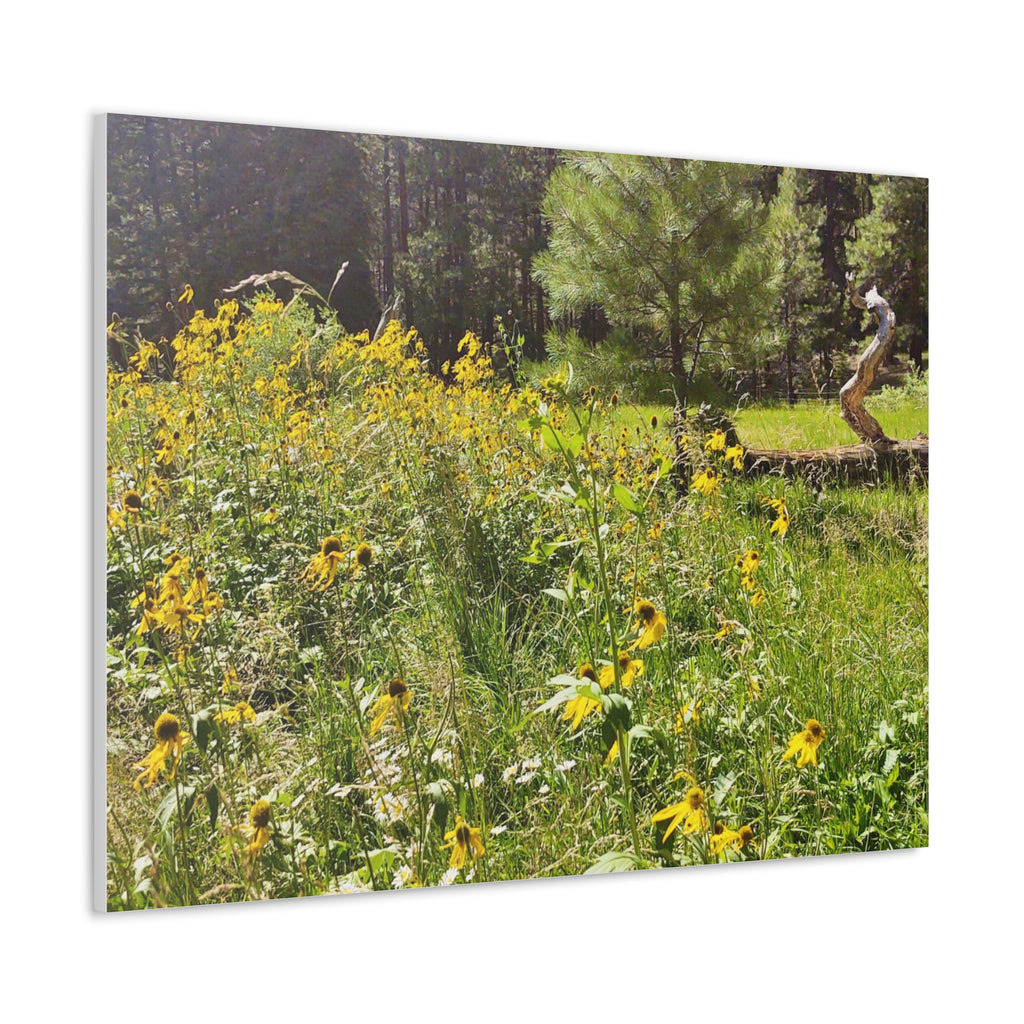 Canvas Wall Art, Nature Photography Decor, Floral Home Decor, Greenery Art Print, Gift for Nature Lovers