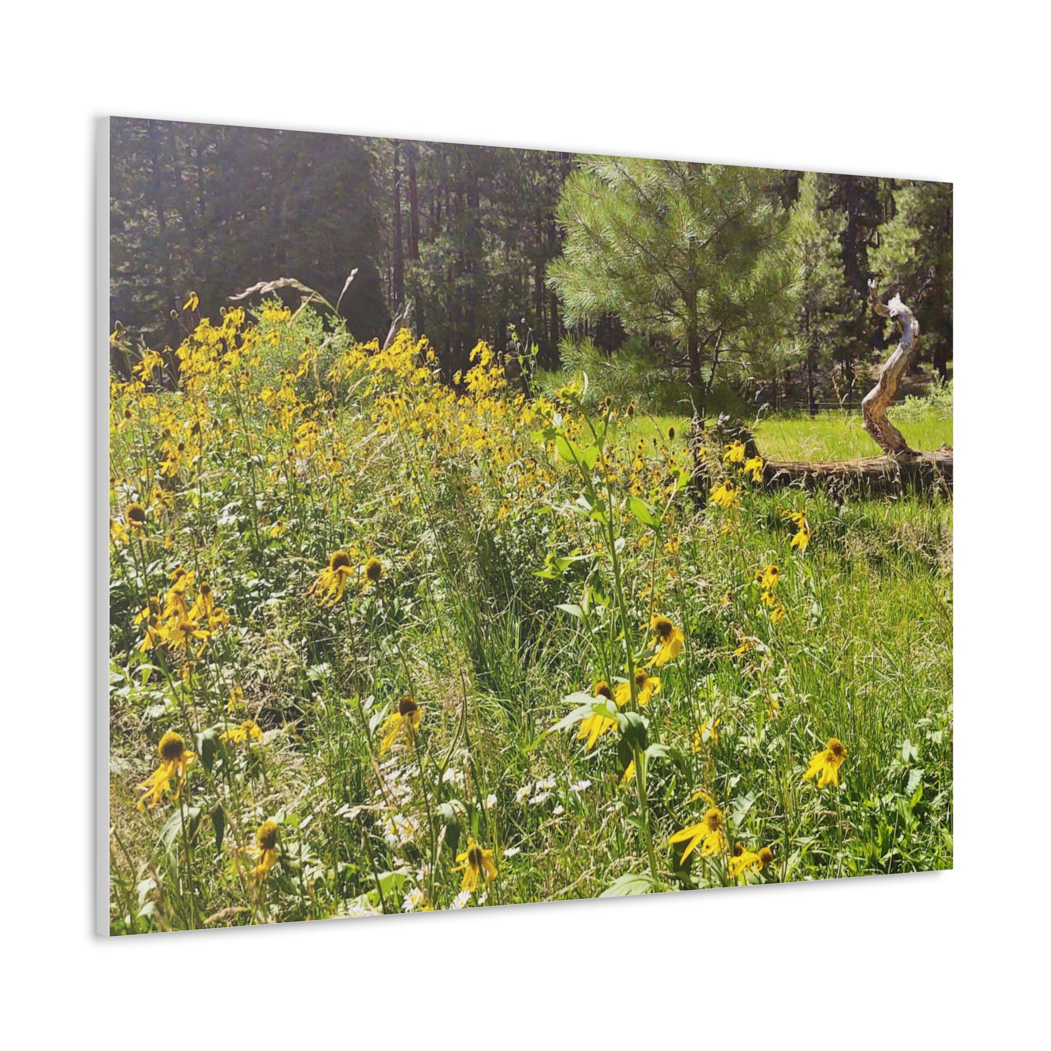 Canvas Wall Art, Nature Photography Decor, Floral Home Decor, Greenery Art Print, Gift for Nature Lovers