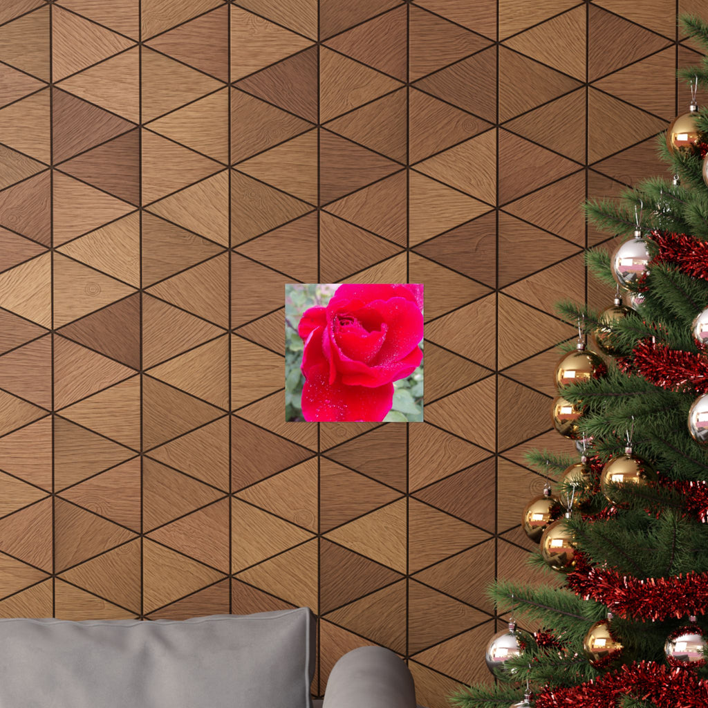 Vibrant Floral Matte Poster, Home Decor, Wall Art, Gift for Her, Red Rose Print, Botanical Wall Art, Romantic Decoration