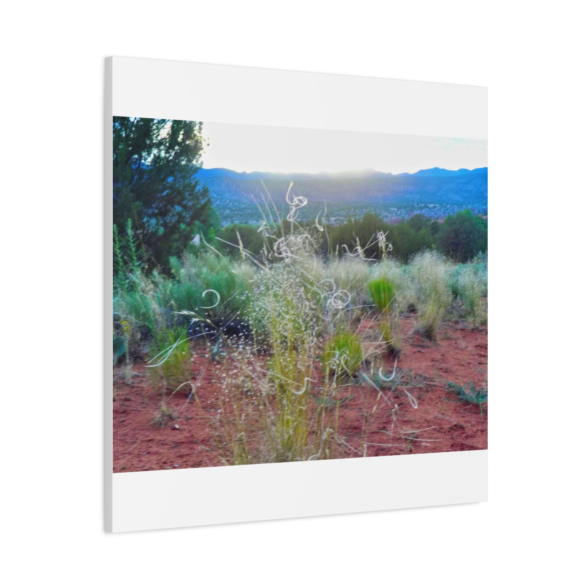 Serene Desert Landscape Canvas Print, Nature Wall Art, Home Decor, Gift for Nature Lovers, Rustic Art for Living Room, Boho Decor