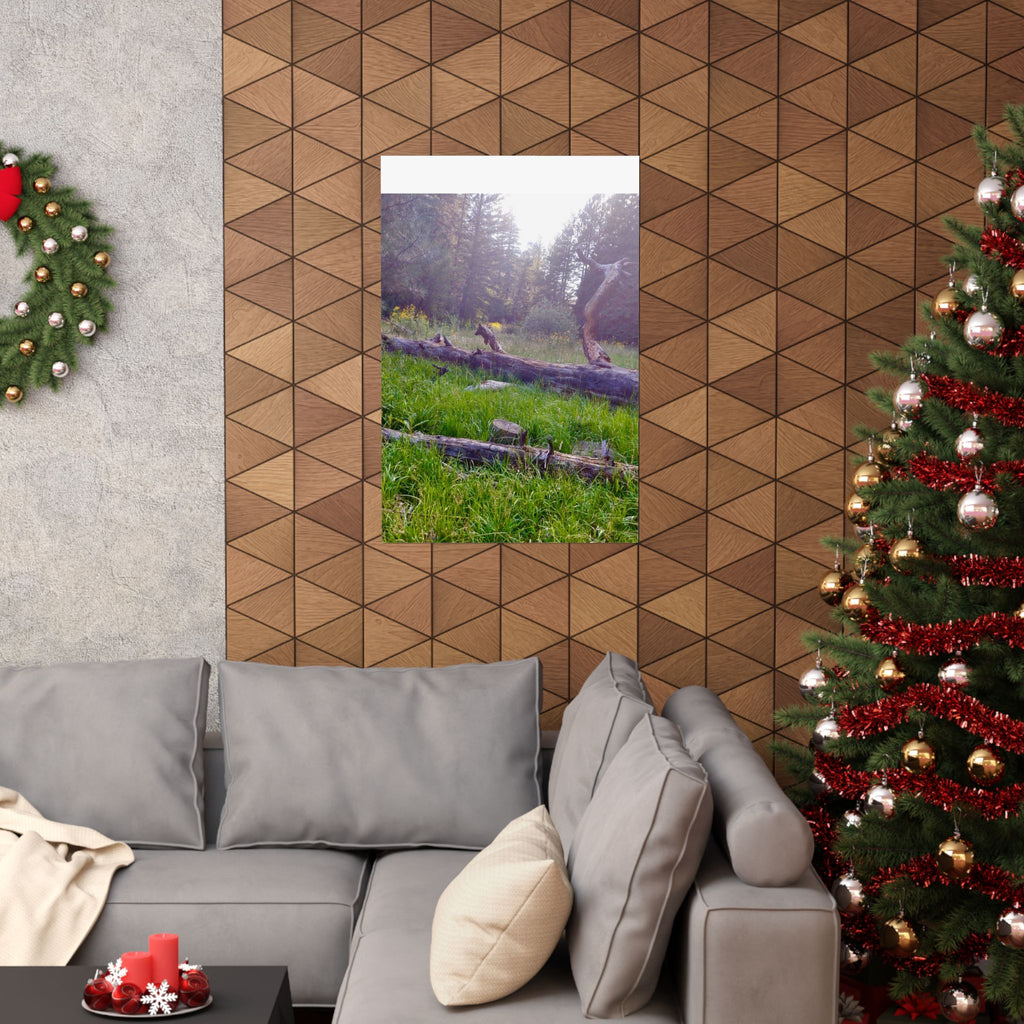 Nature-Inspired Matte Vertical Posters, Wall Art Decor, Forest Photo Prints, Home Aesthetic, Gift for Nature Lovers