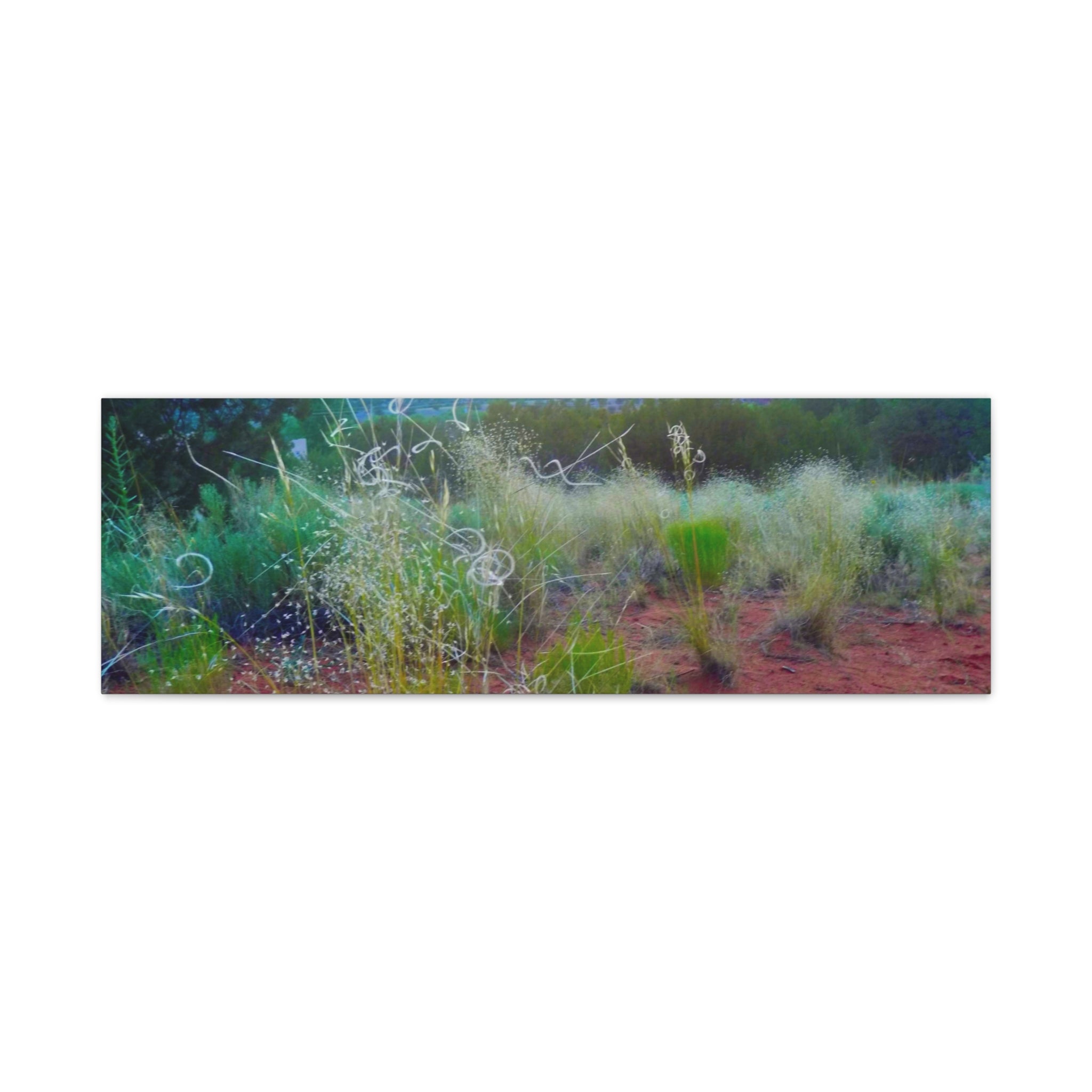 Stretched Canvas Art Print, Nature Wall Decor, Boho Home Decor, Rustic Landscape Art, Gift for Nature Lovers