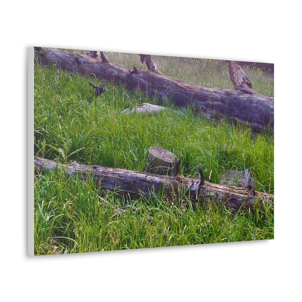 Classic Canvas Wall Art - Nature Decor, Outdoor Wall Hanging, Home Aesthetic, Gift for Nature Lovers, Rustic Cabin Decor