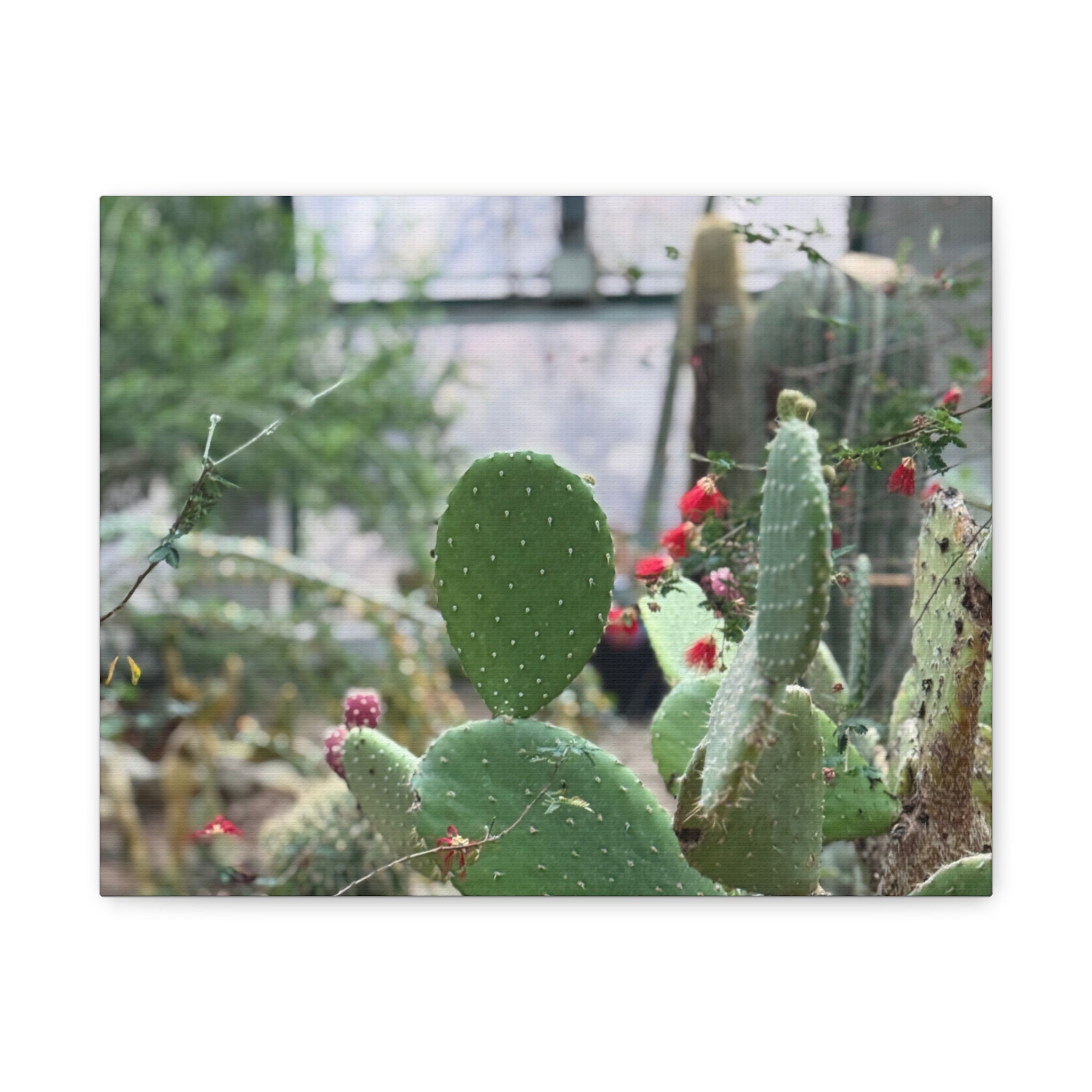 Cactus Matte Canvas Wall Art, Nature Decor, Southwestern Room Design, Green Plant Prints, Home and Office Wall Decor