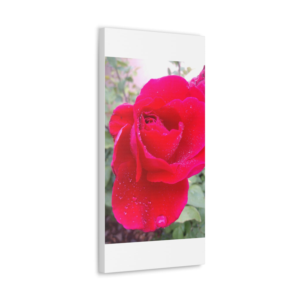 Stunning Floral Canvas Print, Home Decor, Wall Art, Gift for Flower Lovers, Red Rose Art, Mother's Day Gift