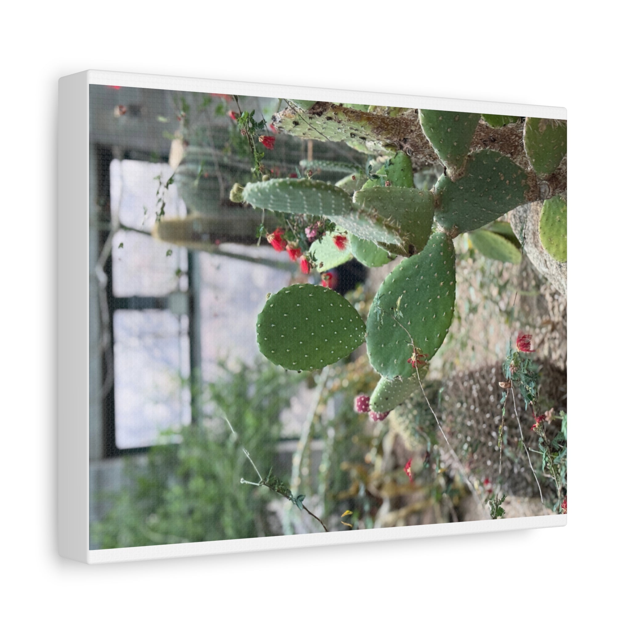 Cactus Wall Art Canvas Print, Nature Décor for Home, Office, Gift for Cactus Lovers, Unique Plant Themed Artwork, Desert Vibe Decor