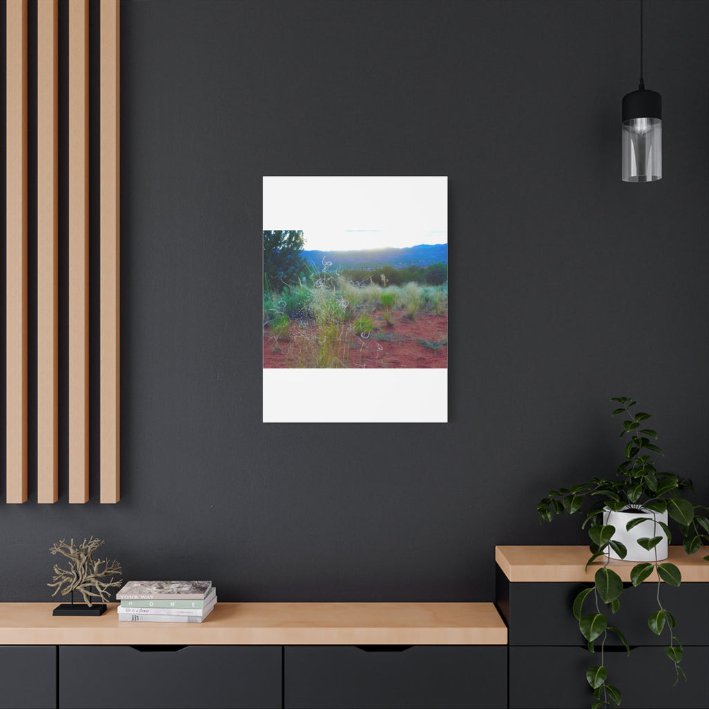 Stretched Canvas Art Print, Nature Wall Decor, Boho Home Decor, Rustic Landscape Art, Gift for Nature Lovers