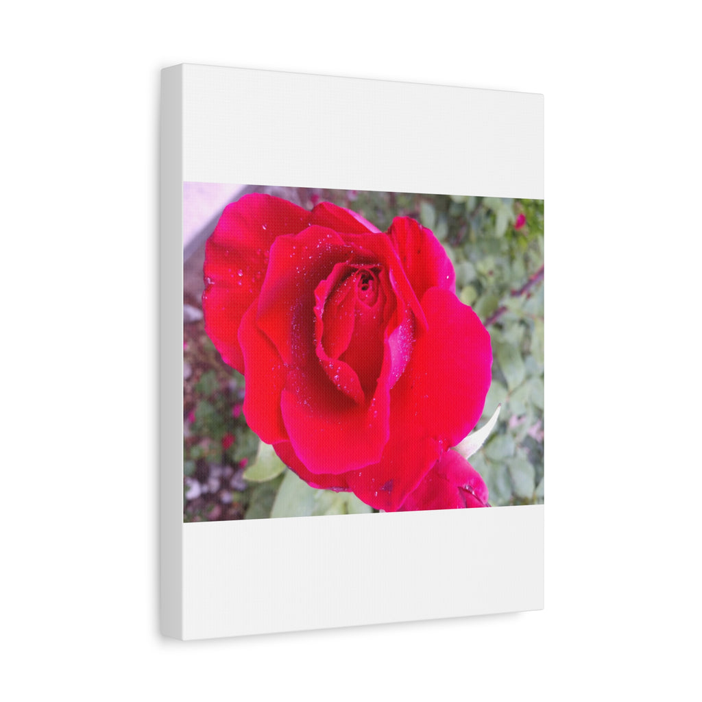 Vibrant Floral Canvas Art, Elegant Wall Decor, Perfect for Home, Gifts, Mother's Day, and Weddings