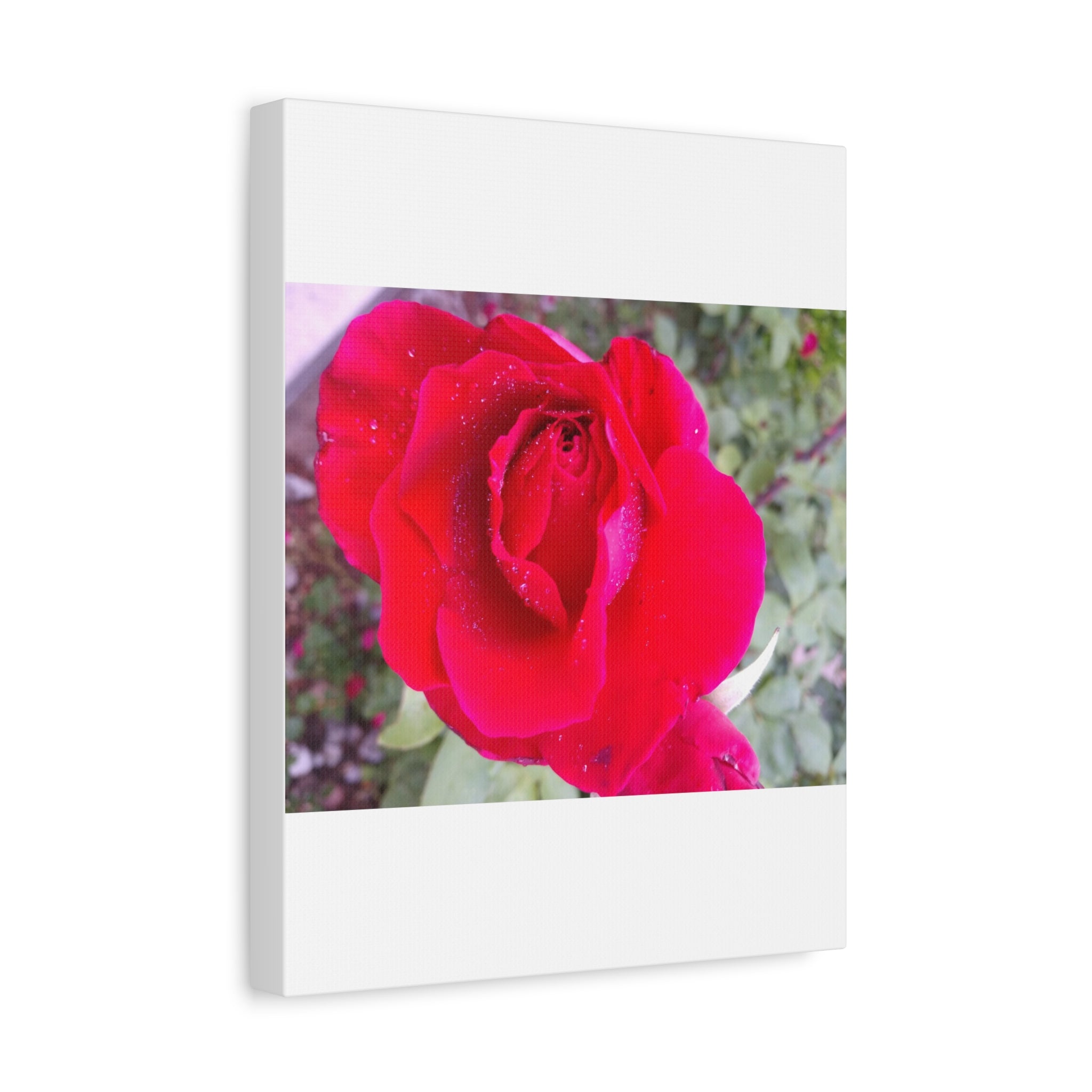 Vibrant Floral Canvas Art, Elegant Wall Decor, Perfect for Home, Gifts, Mother's Day, and Weddings