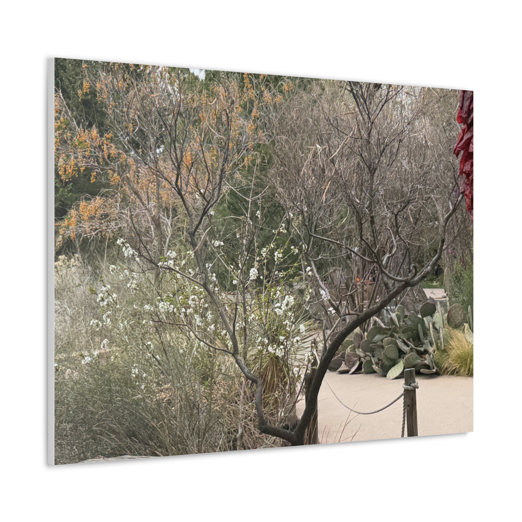 Classic Canvas Art Print, Bohemian Decor, Nature Wall Art, Home Gallery, Rustic Wall Decoration