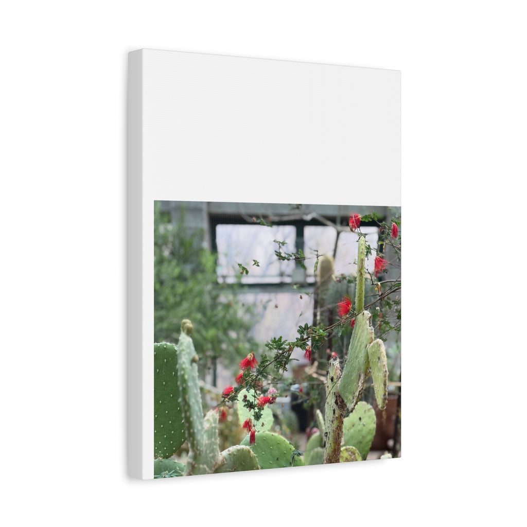 Cactus Wall Art Print, Nature Home Decor, Bohemian Style Artwork, Botanical Gift, Succulent Canvas