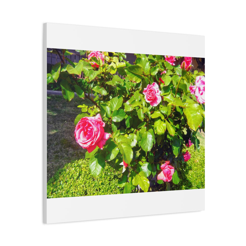 Floral Canvas Wall Art, Pink Rose Decor, Home Gallery Piece, Flower Photography, Garden Wall Decor, Floral Print
