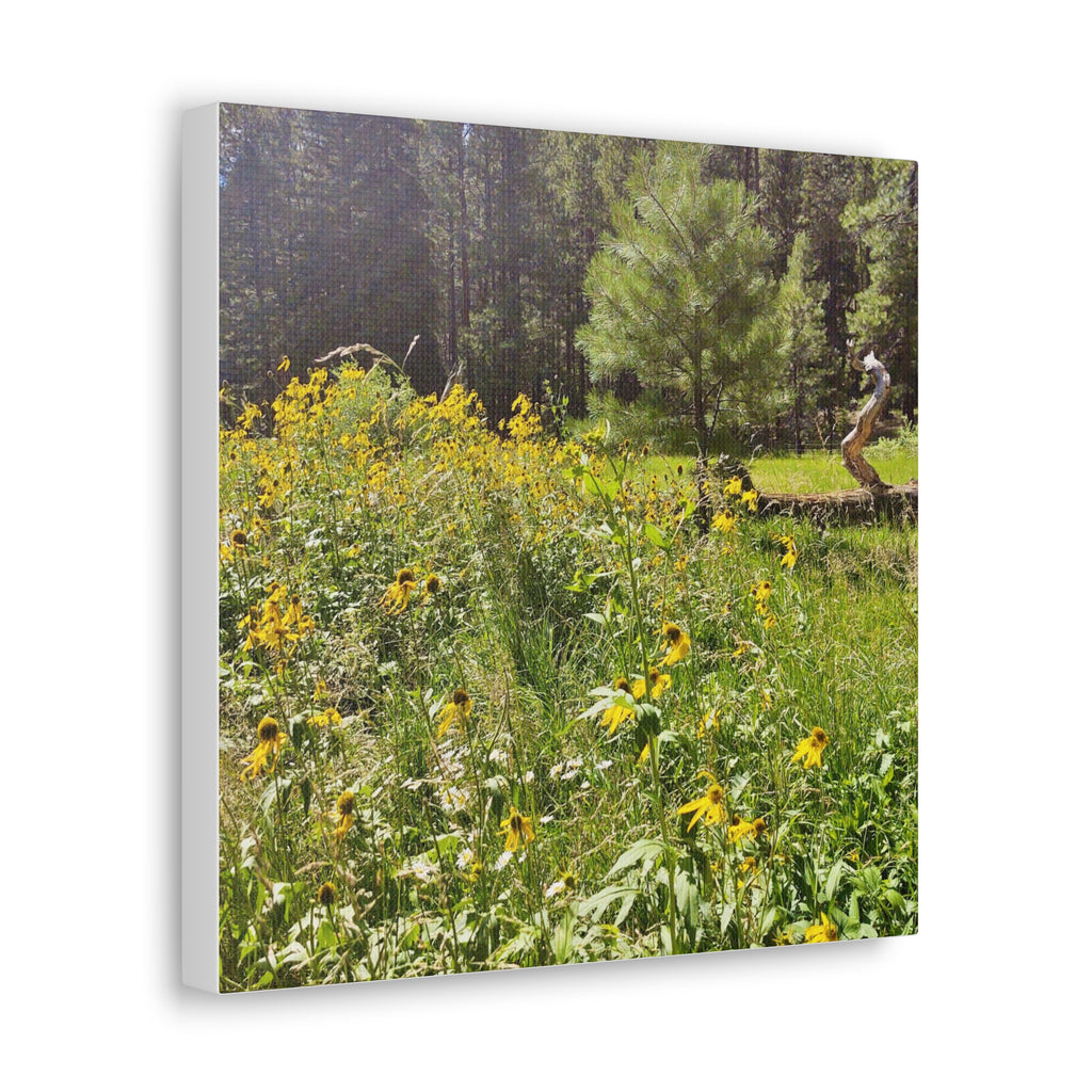 Canvas Wall Art, Nature Photography Decor, Floral Home Decor, Greenery Art Print, Gift for Nature Lovers