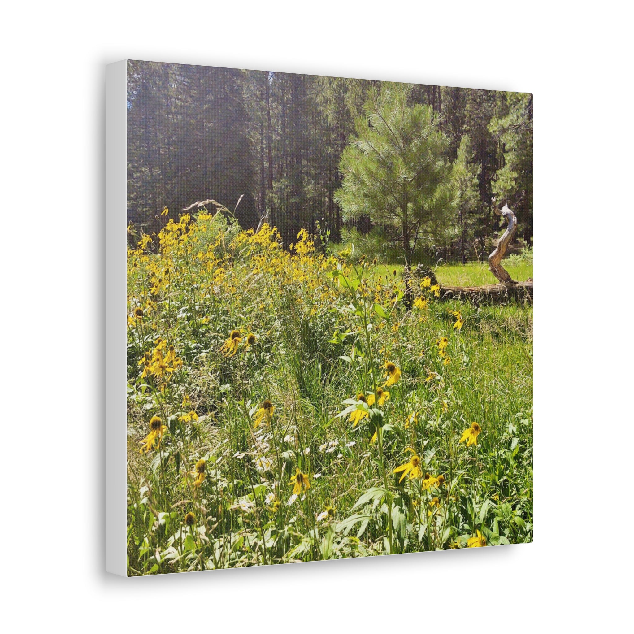 Canvas Wall Art, Nature Photography Decor, Floral Home Decor, Greenery Art Print, Gift for Nature Lovers