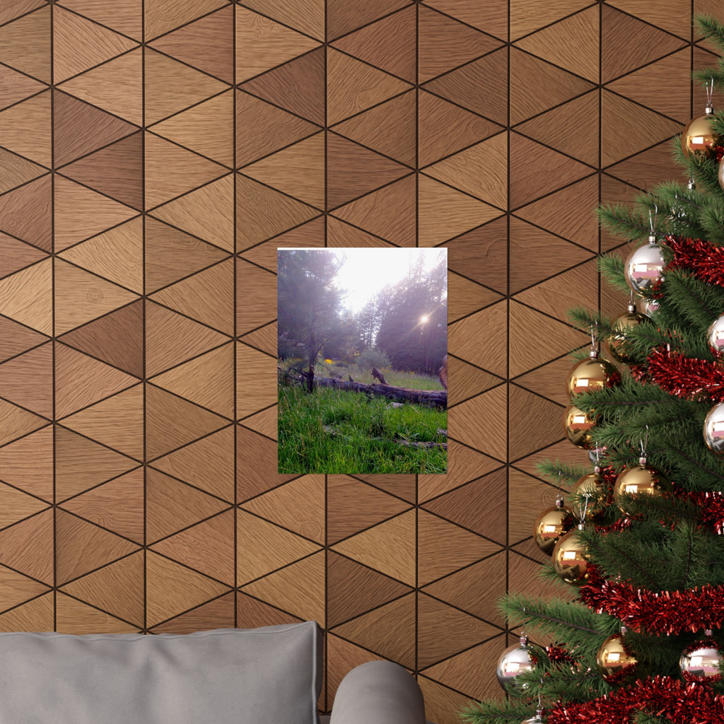 Nature-Inspired Matte Vertical Posters for Home Décor, Unique Wall Art Prints, Botanical Print Collection, Gifts for Nature Lovers, [...]