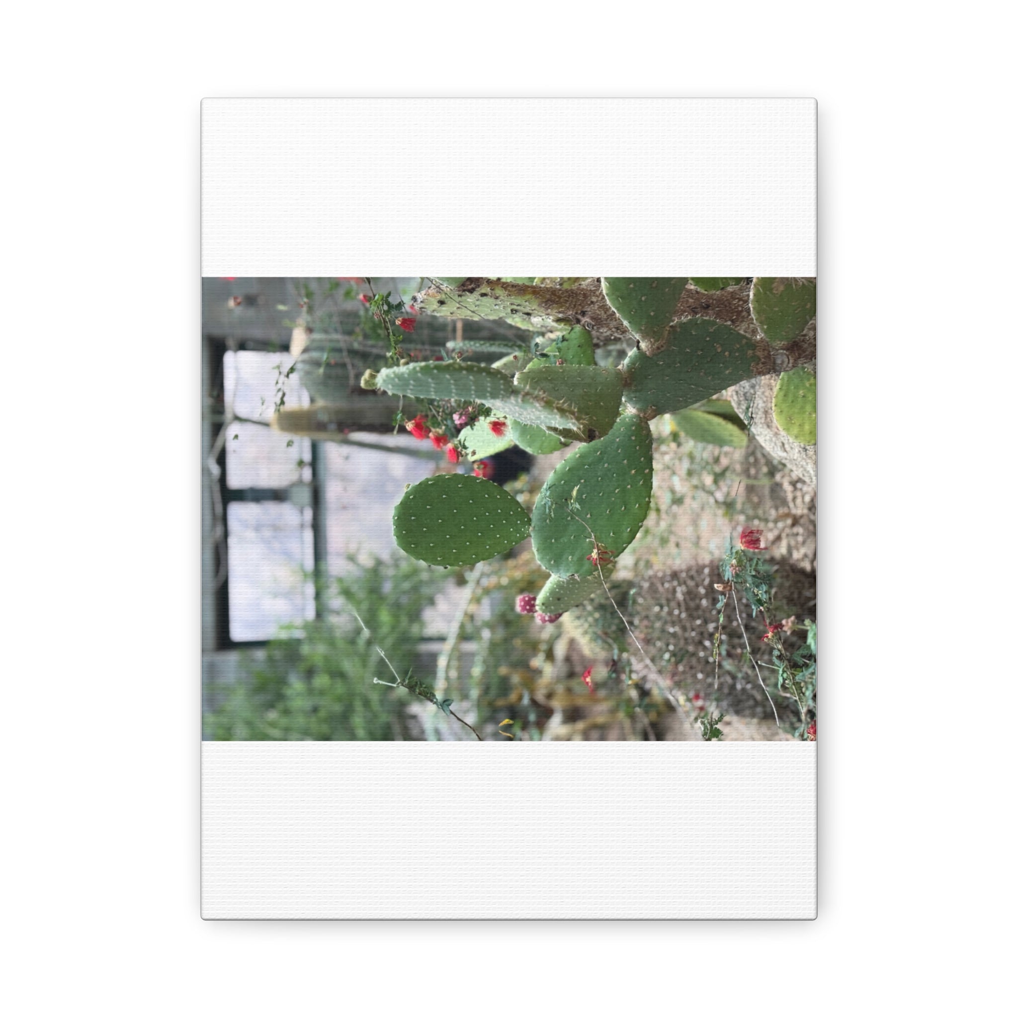 Cactus Wall Art Canvas Print, Nature Décor for Home, Office, Gift for Cactus Lovers, Unique Plant Themed Artwork, Desert Vibe Decor