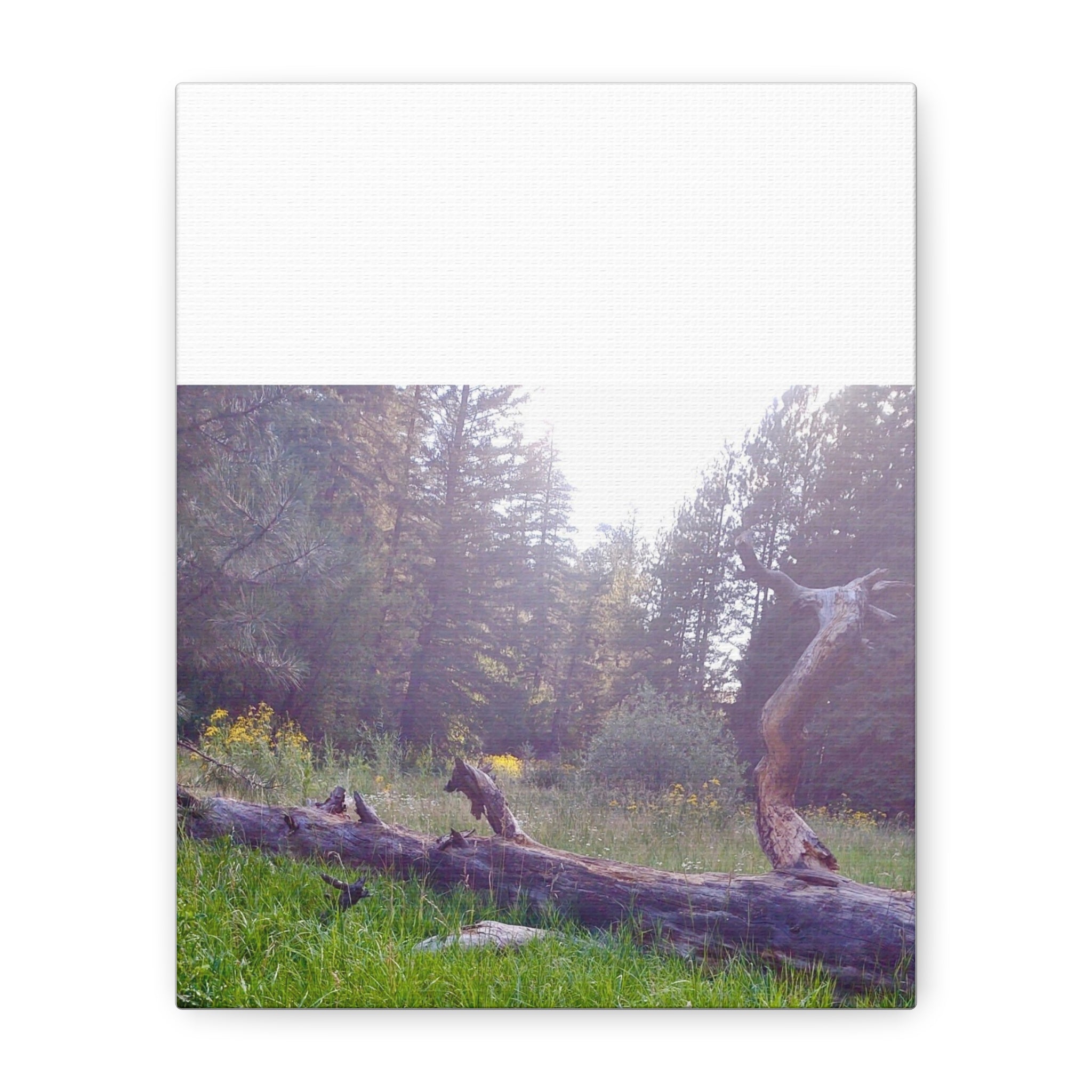 Matte Canvas Wall Art - Serene Nature Scene, Perfect for Home Decor, Gift for Nature Lovers, Office Wall Decoration, Rustic Art Print