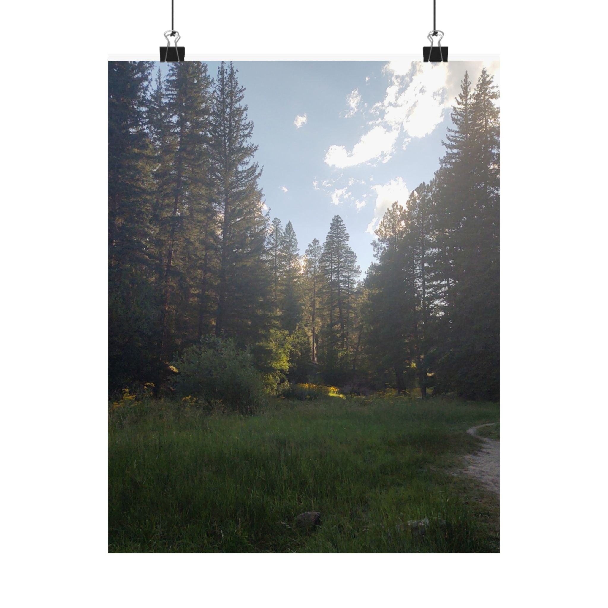 Nature-Inspired Matte Vertical Posters, Forest Art Decor, Home Wall Art, Outdoor Lover Gift, Tranquil Nature Prints