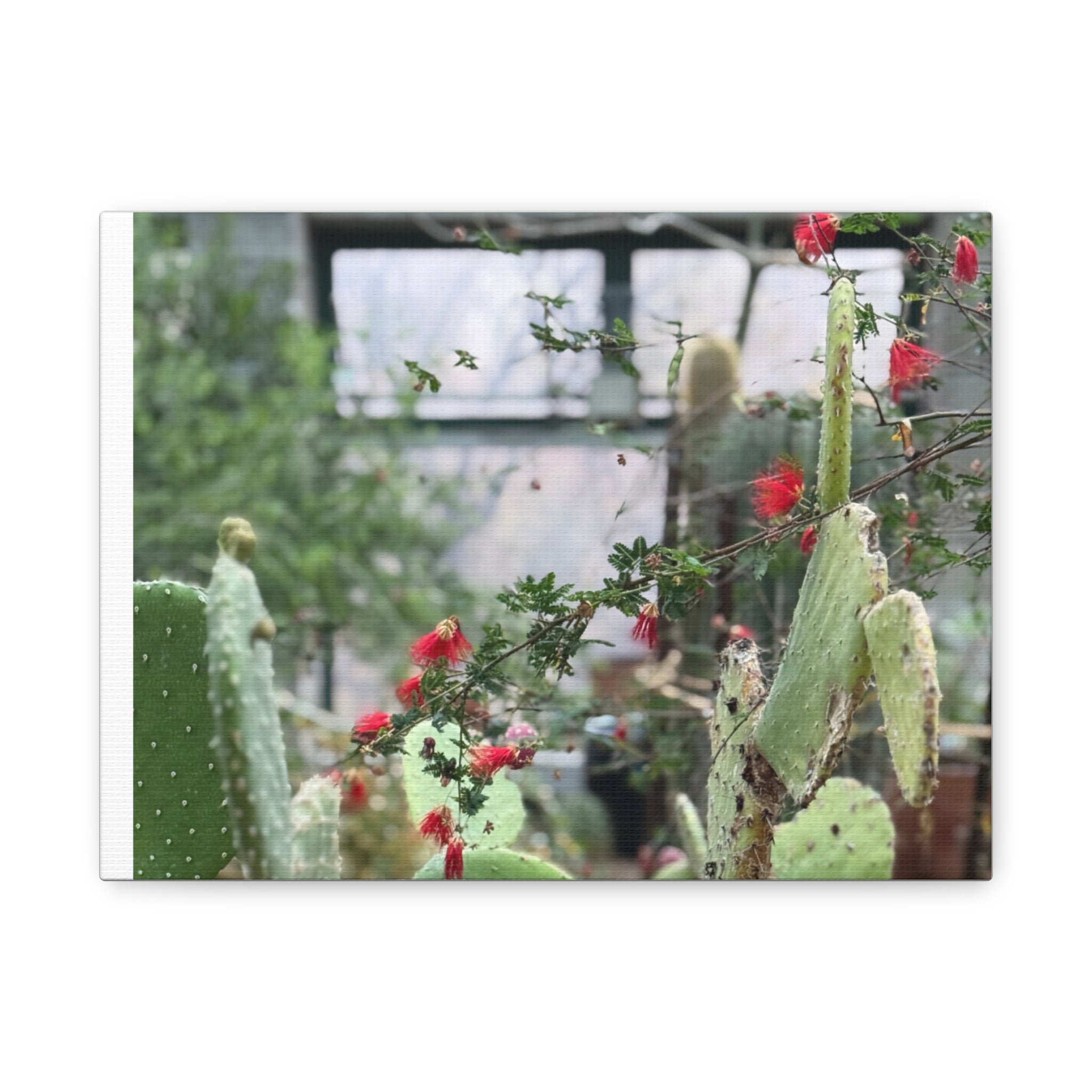Cactus Wall Art Print, Nature Home Decor, Bohemian Style Artwork, Botanical Gift, Succulent Canvas