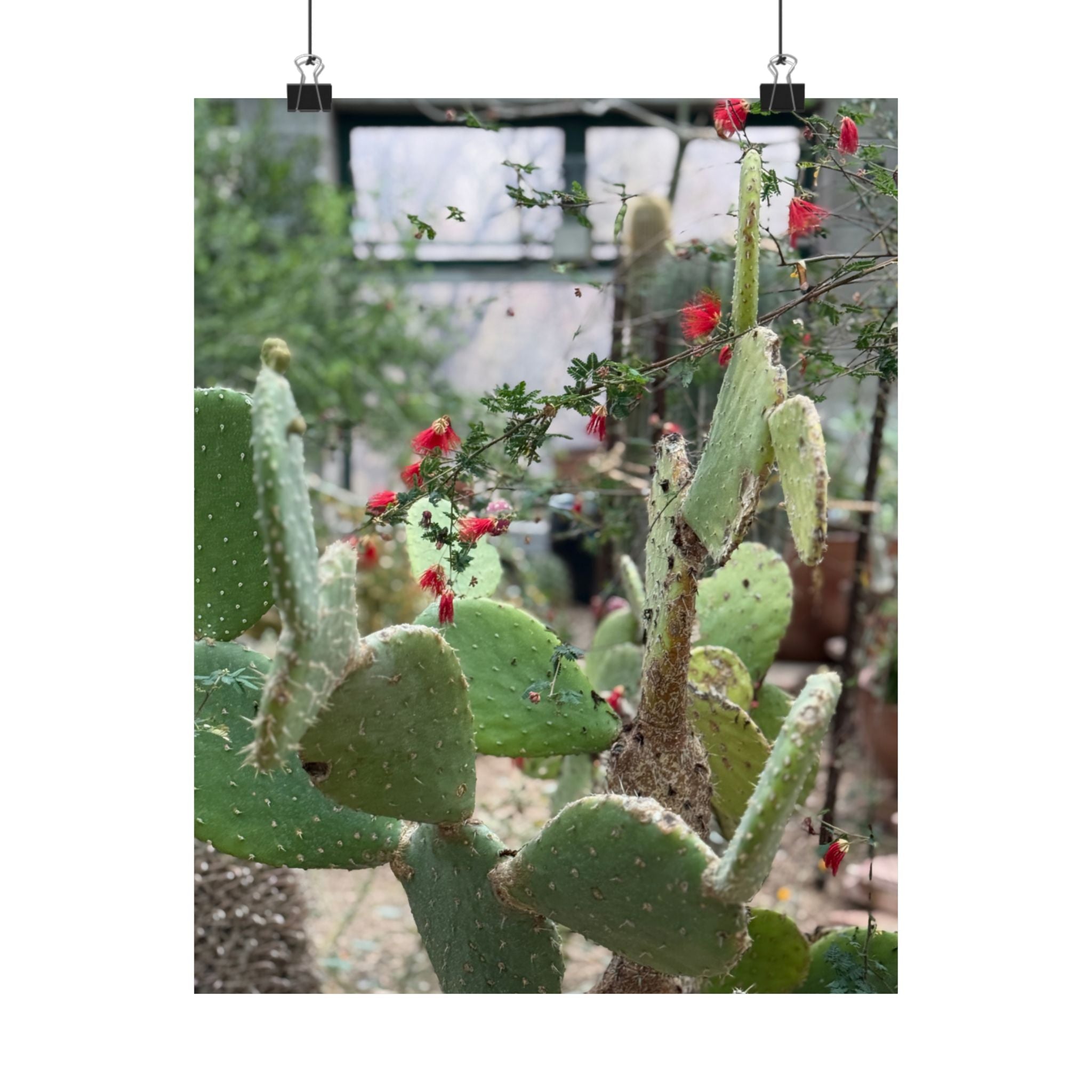 Cactus Vertical Wall Art, Boho Home Decor, Nature Print, Gift for Plant Lovers, Gallery Wall Decoration