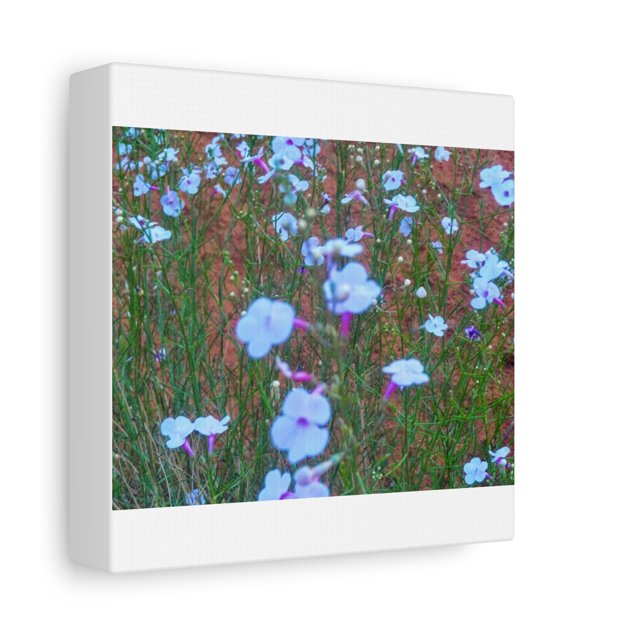 Floral Canvas Wall Art, Home Decor, Wall Hanging, Gift Idea, Nature Art, Flower Print