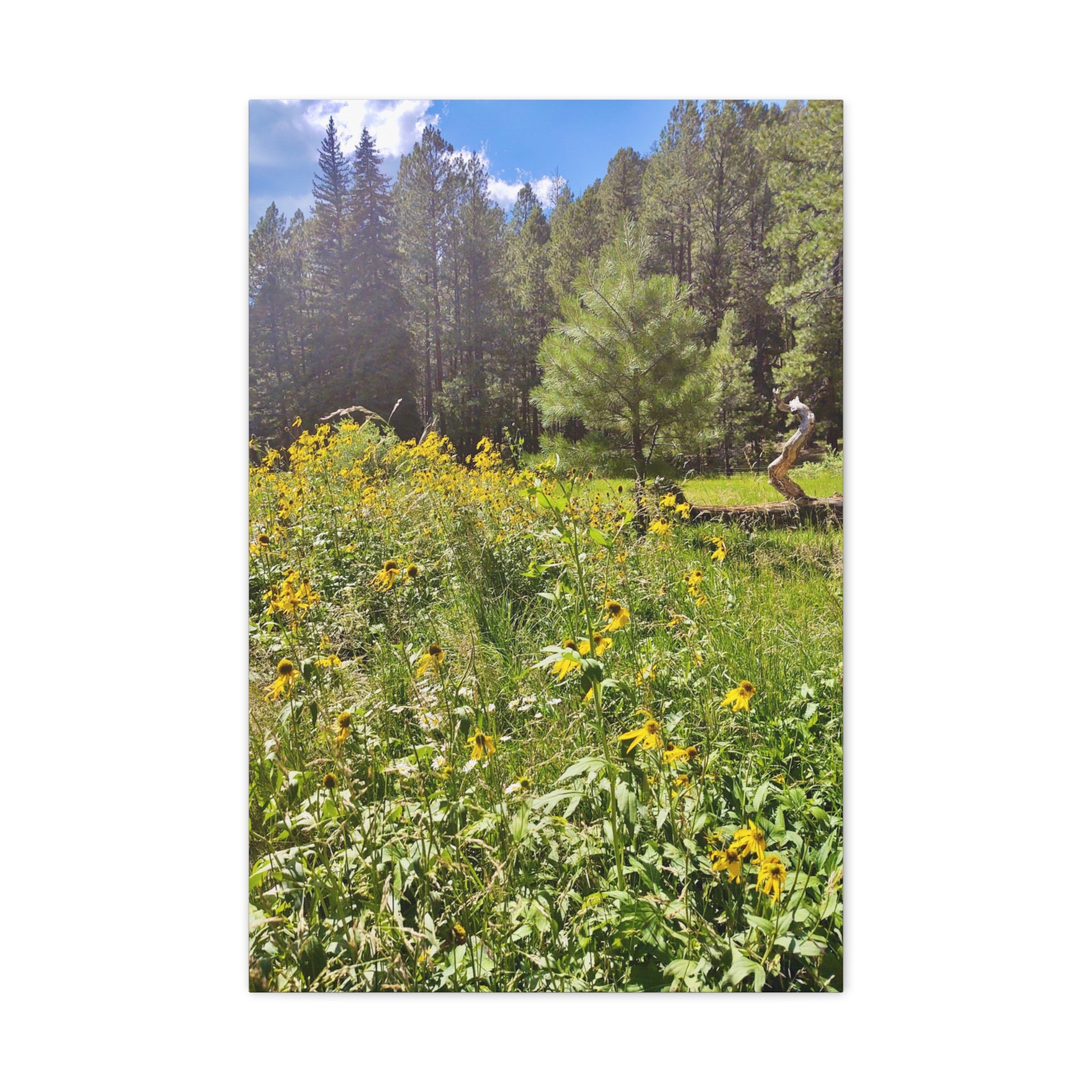 Canvas Wall Art, Nature Photography Decor, Floral Home Decor, Greenery Art Print, Gift for Nature Lovers