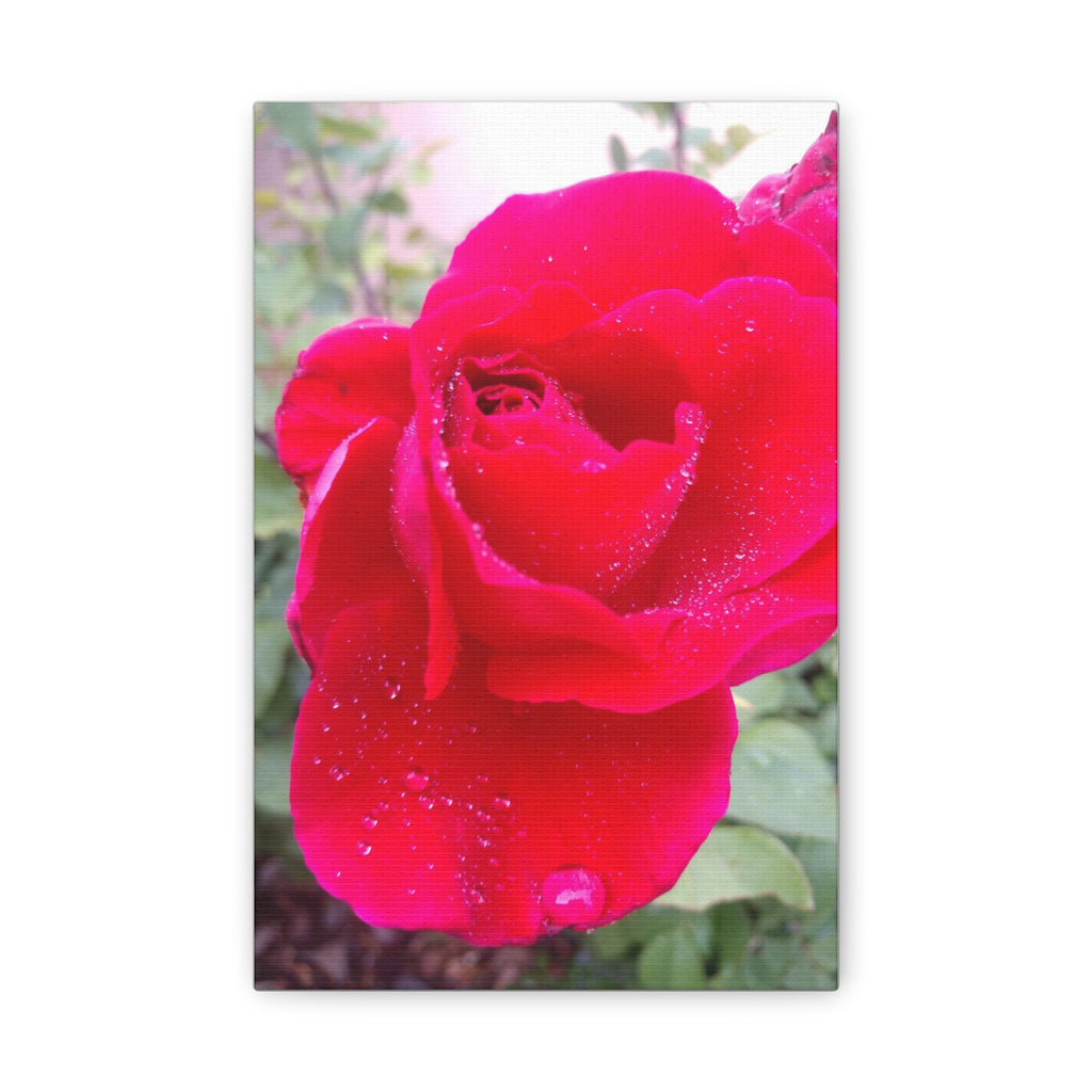 Stunning Floral Canvas Print, Home Decor, Wall Art, Gift for Flower Lovers, Red Rose Art, Mother's Day Gift