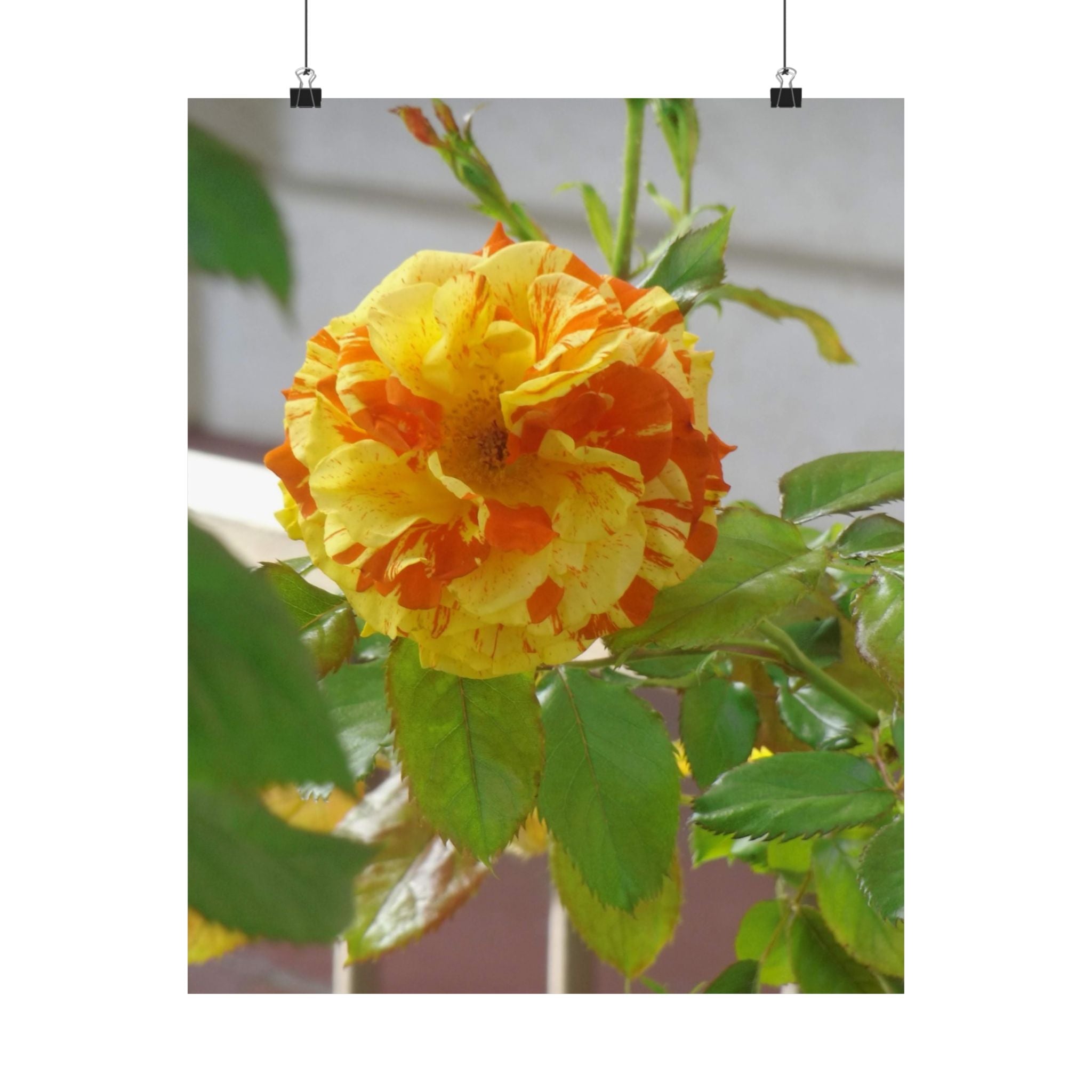 Vibrant Floral Wall Art, Matte Vertical Posters, Home Decor, Flower Illustration, Gift for Nature Lovers, Modern Art Prints, Colorful [...]