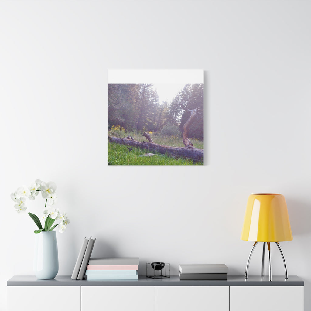 Matte Canvas Wall Art - Serene Nature Scene, Perfect for Home Decor, Gift for Nature Lovers, Office Wall Decoration, Rustic Art Print