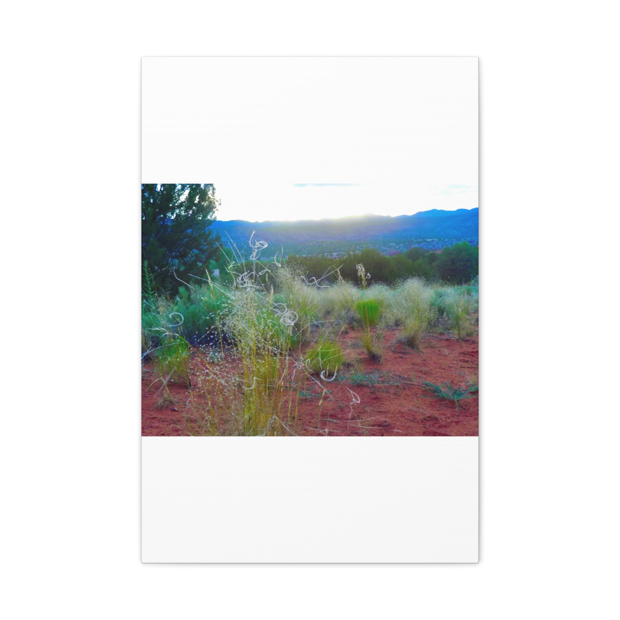 Stretched Canvas Art Print, Nature Wall Decor, Boho Home Decor, Rustic Landscape Art, Gift for Nature Lovers