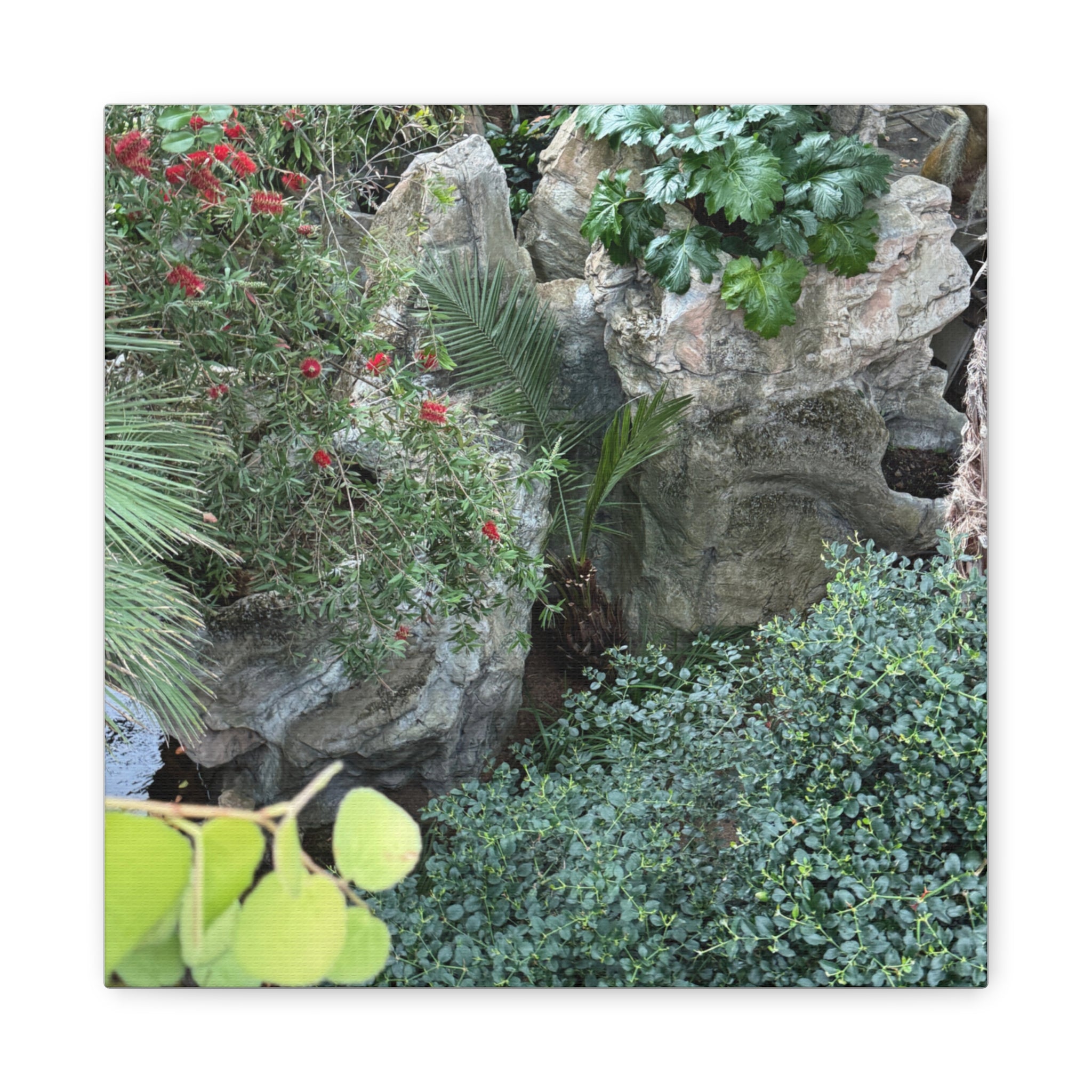 Canvas Wall Art, Tropical Garden Print, Home Decor, Botanical Artwork, Nature Lover Gift, Modern Interior Design