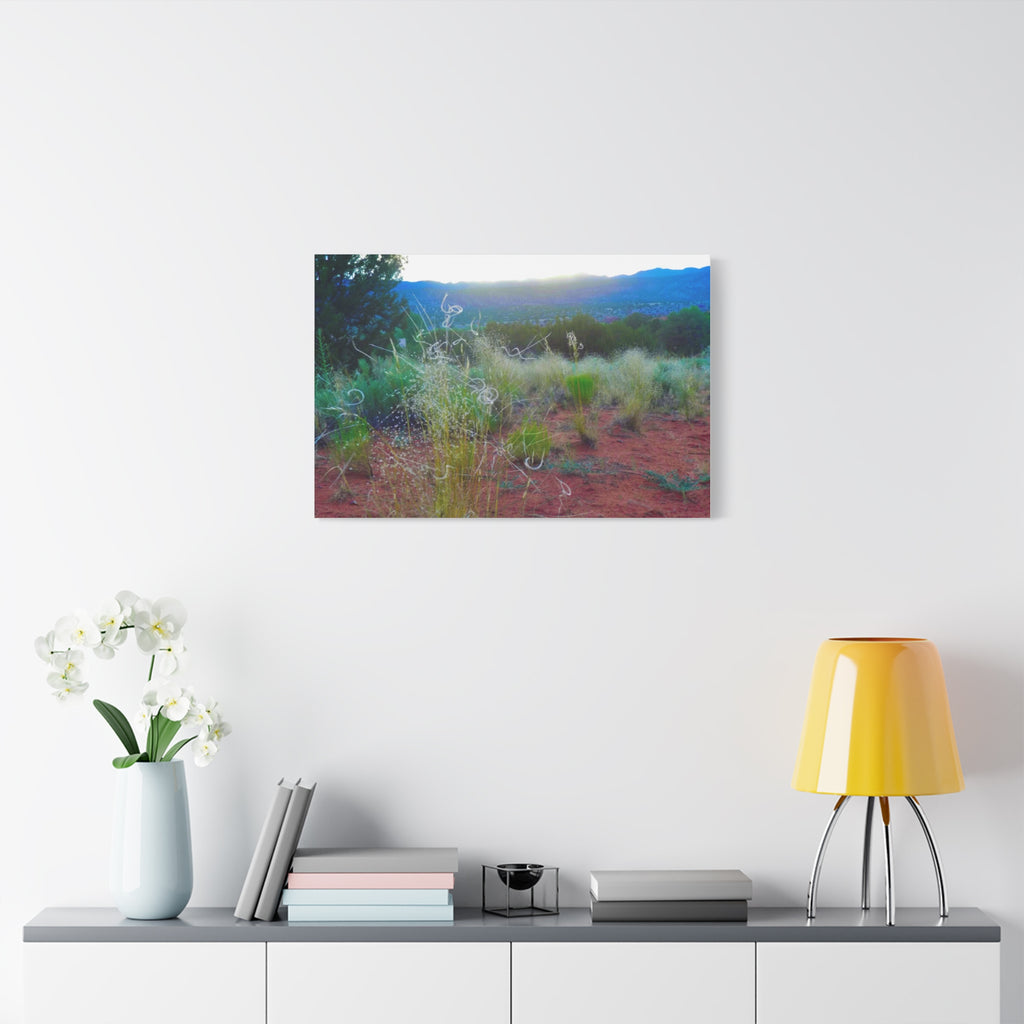 Stretched Canvas Art Print, Nature Wall Decor, Boho Home Decor, Rustic Landscape Art, Gift for Nature Lovers