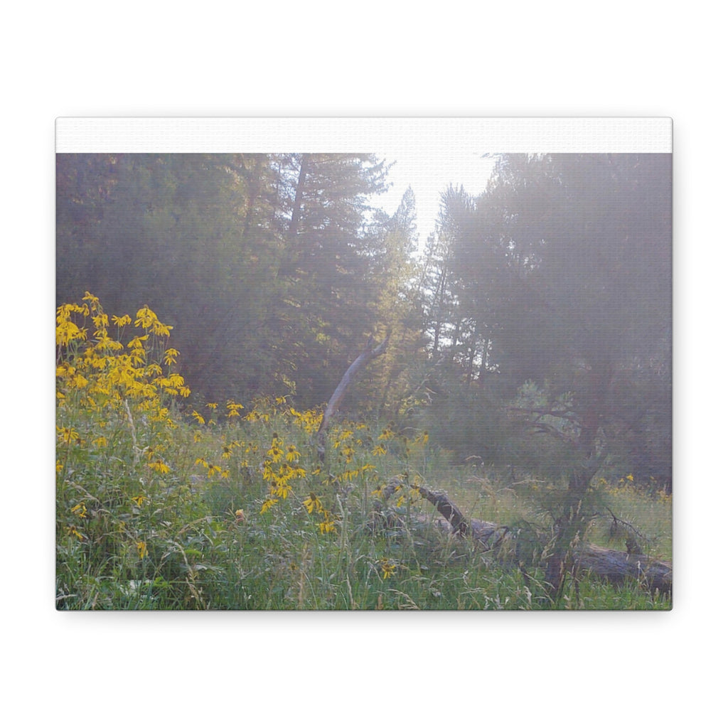 Matte Canvas, Stretched, 1.25"