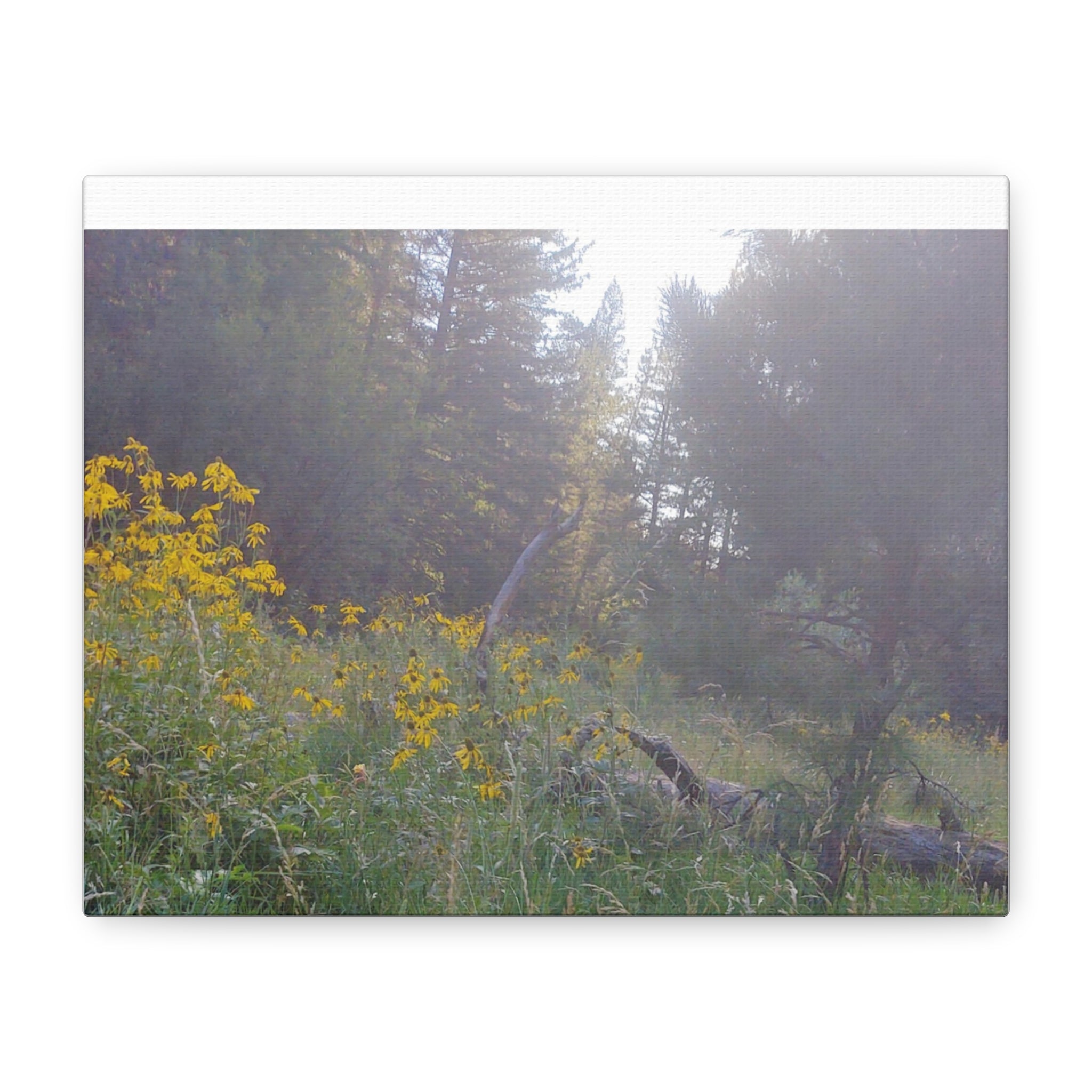 Matte Canvas, Stretched, 1.25"