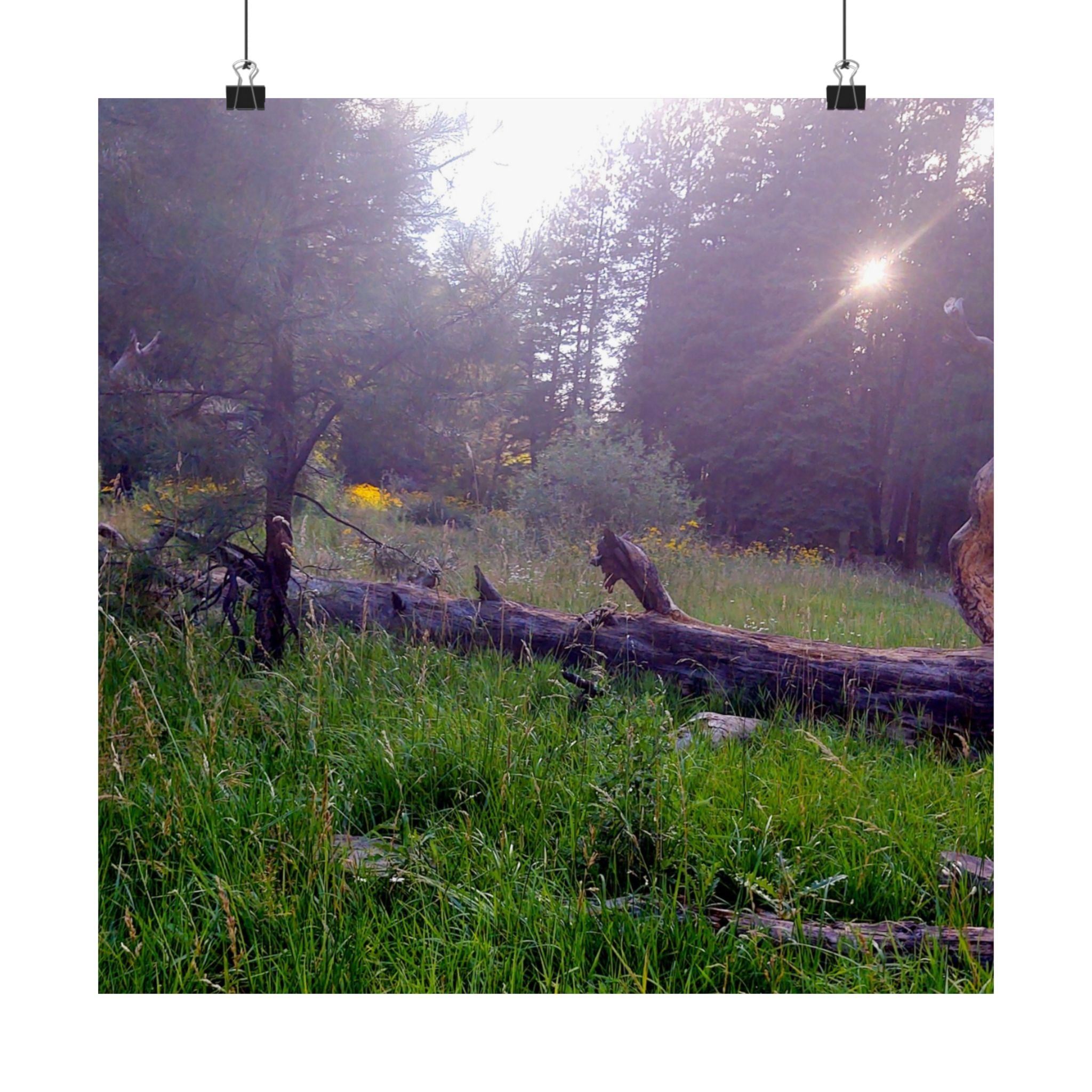 Nature-Inspired Matte Vertical Posters for Home Décor, Unique Wall Art Prints, Botanical Print Collection, Gifts for Nature Lovers, [...]