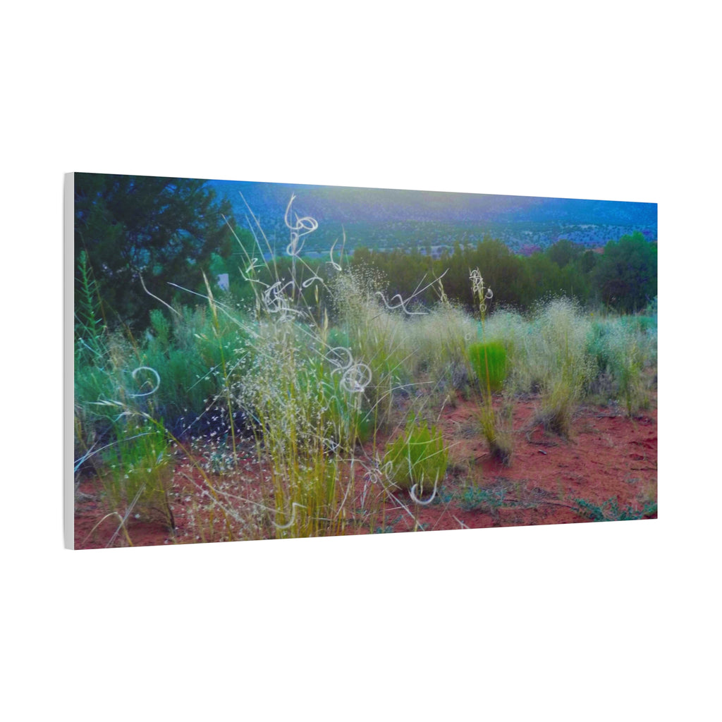 Stretched Canvas Art Print, Nature Wall Decor, Boho Home Decor, Rustic Landscape Art, Gift for Nature Lovers