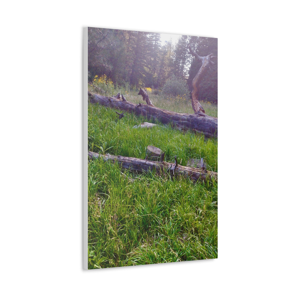 Classic Canvas Wall Art - Nature Decor, Outdoor Wall Hanging, Home Aesthetic, Gift for Nature Lovers, Rustic Cabin Decor