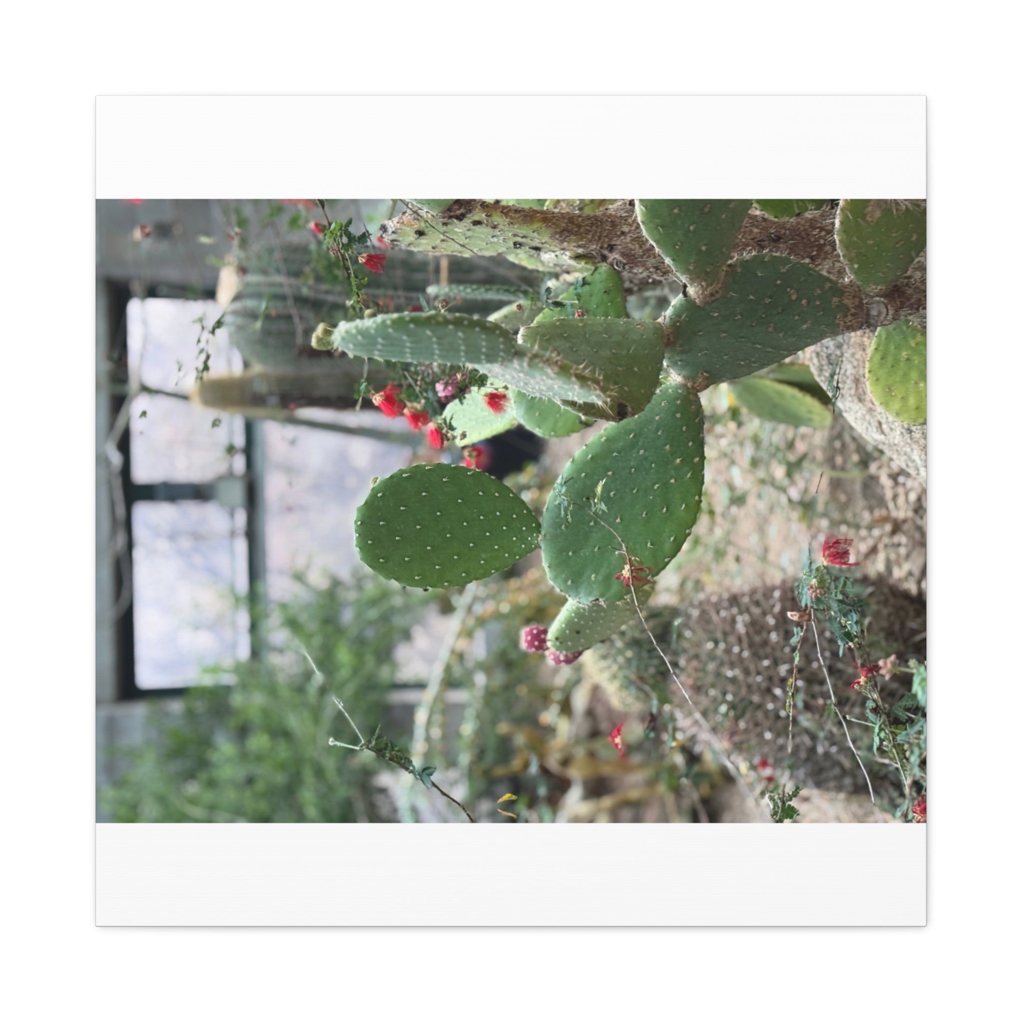 Cactus Wall Art Canvas Print, Nature Décor for Home, Office, Gift for Cactus Lovers, Unique Plant Themed Artwork, Desert Vibe Decor