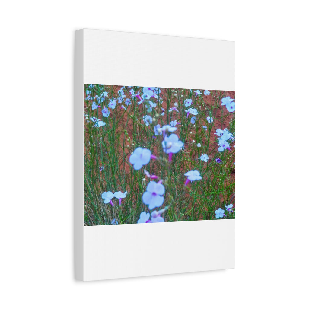 Floral Canvas Wall Art, Home Decor, Wall Hanging, Gift Idea, Nature Art, Flower Print